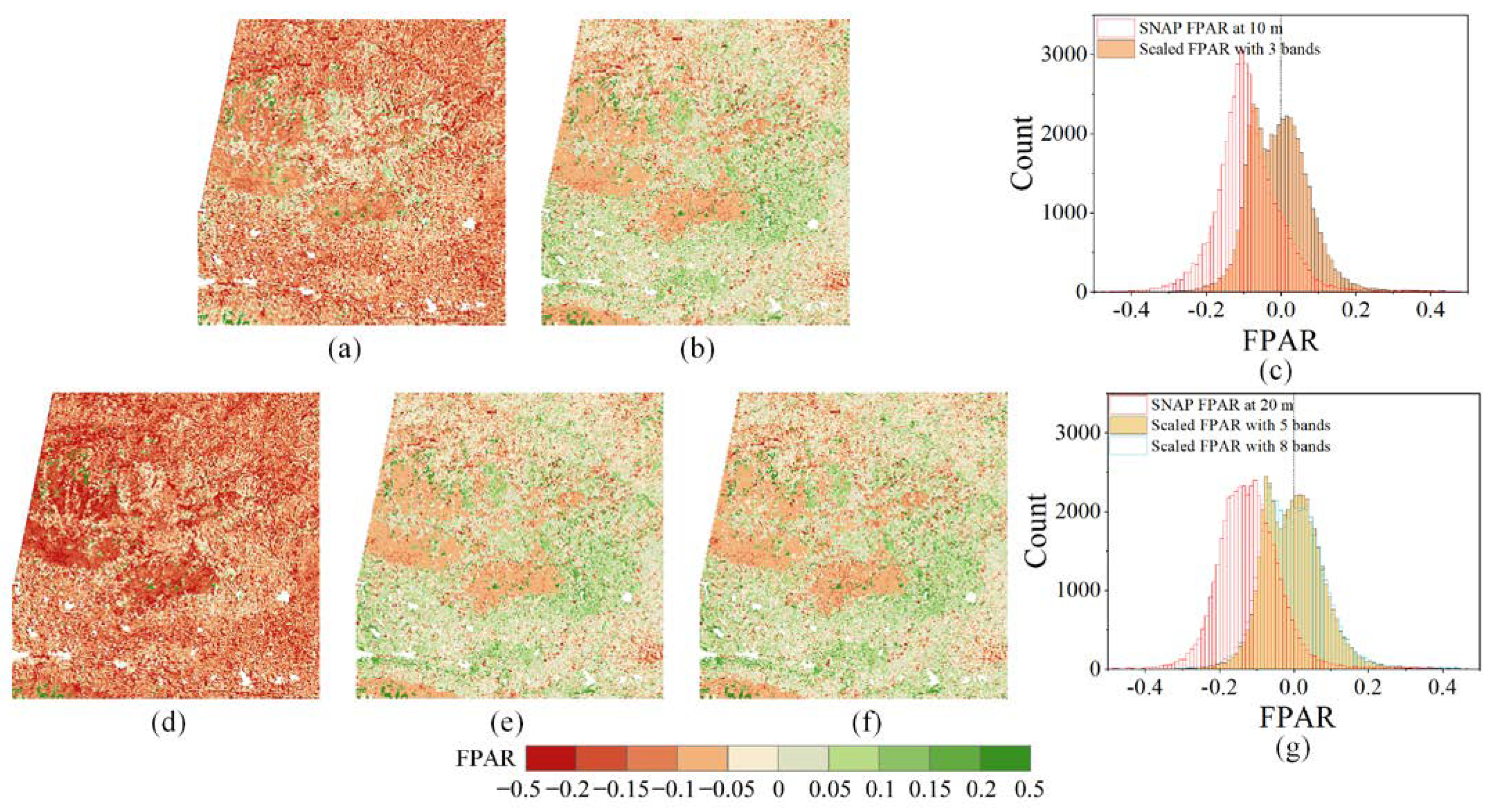 Forests | Free Full-Text | Rapid Estimation of Decameter FPAR from 