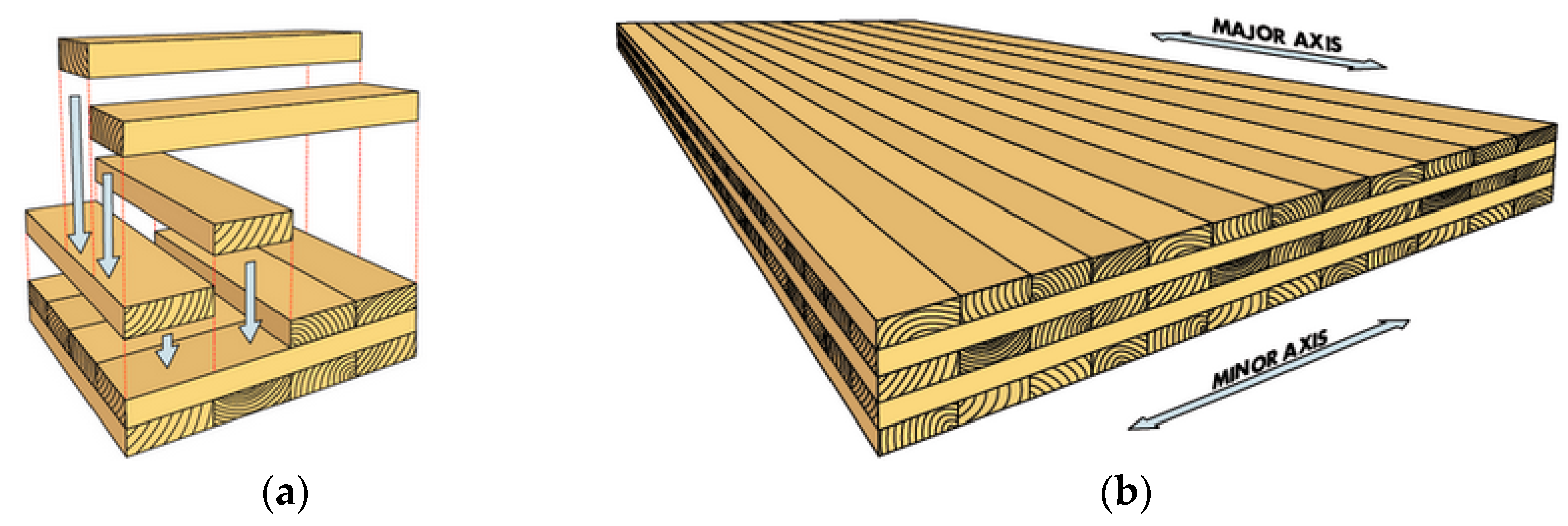Forests | Free Full-Text | Is Cross-Laminated Timber (CLT) a Wood Panel, a Building, or a Construction System? A Systematic on Its Functions, Characteristics, and Applications