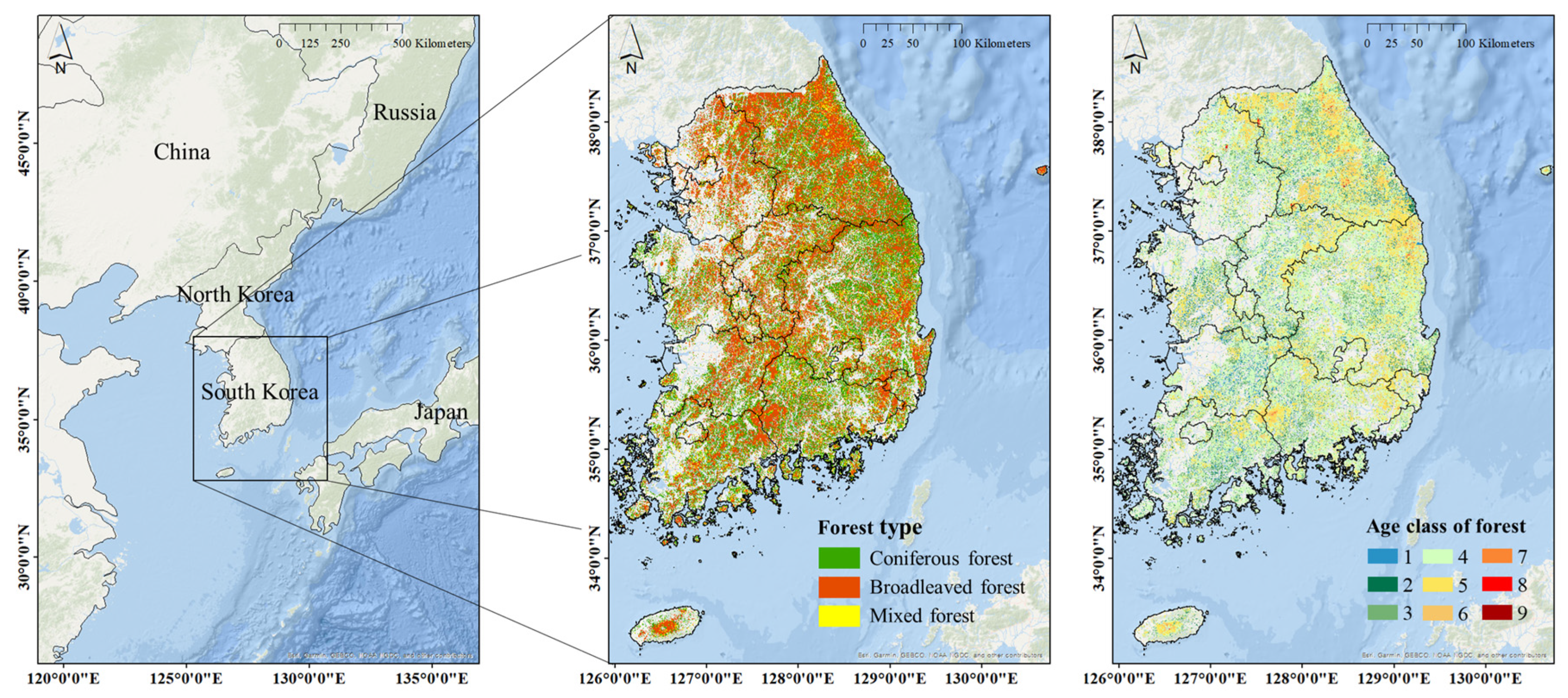 Forests | Free Full-Text | Modeling-Based Risks Assessment and 