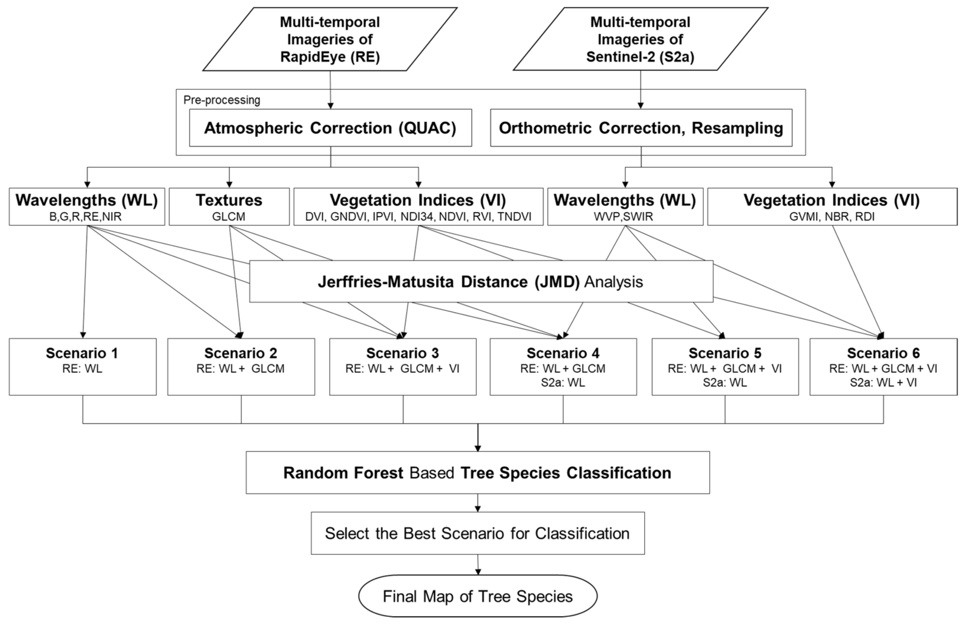 species classification tree