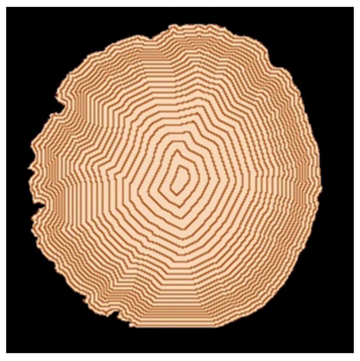 Collection of tree-rings. Set a cross section of the trunk with tree rings.  Vector illustration. Logo. Tree growth rings. Tree trunk cross-section.  Stock Vector by ©nadia1992 266997826