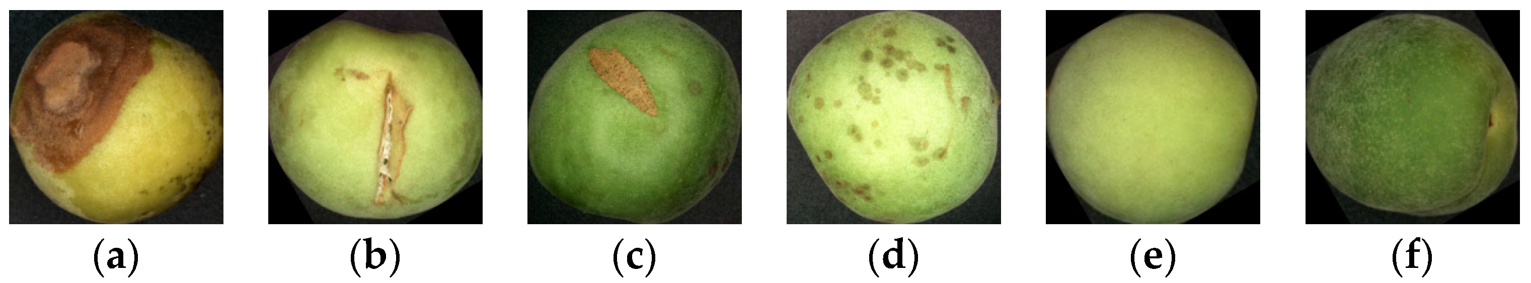 Sample RGB database images a rotten apple, b rotten avocado, c rotten