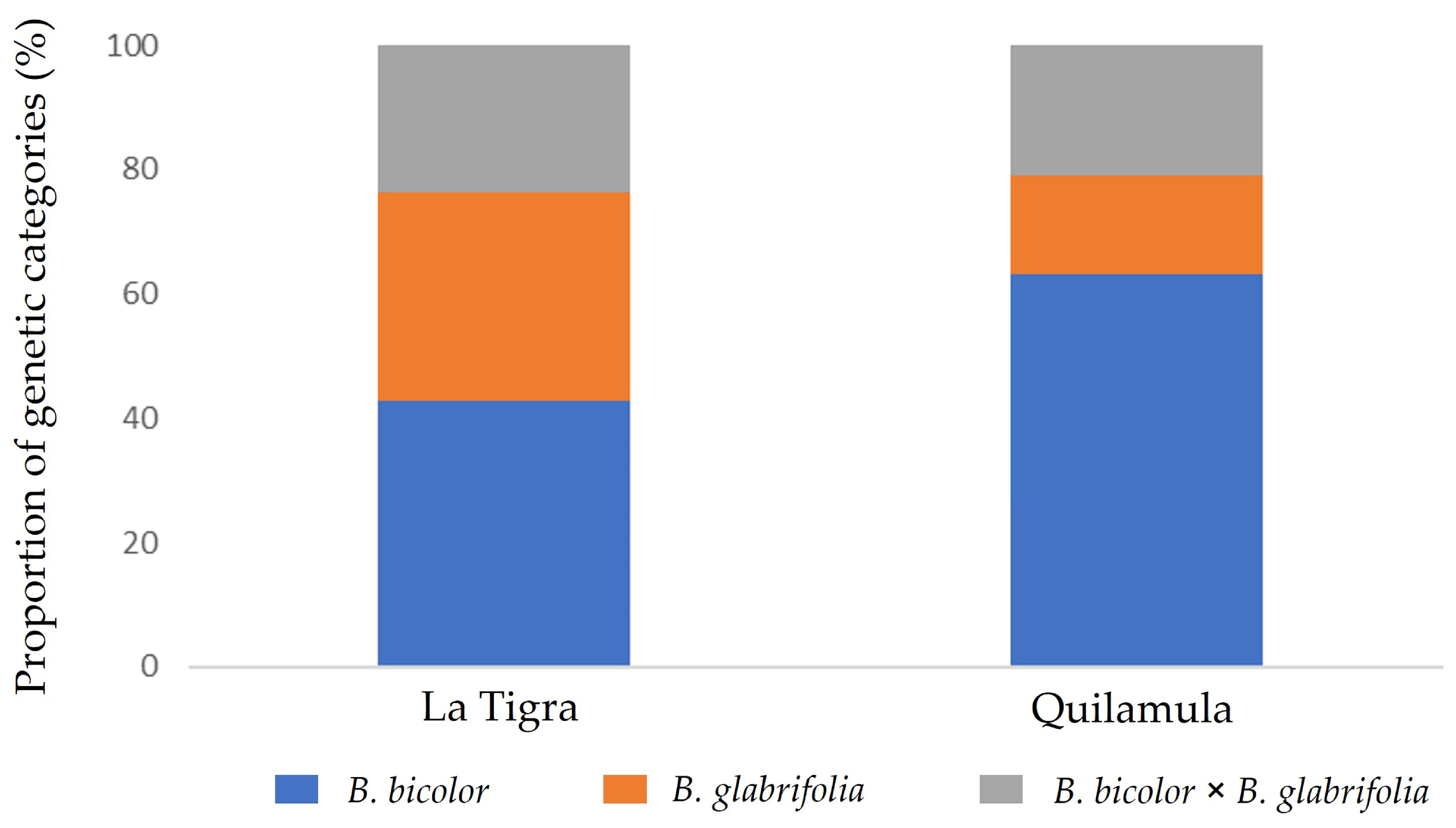 Natural Hybridization between Bursera bicolor × B. glabrifolia  (Burseraceae) Complex: Molecular and Chemical Evidence