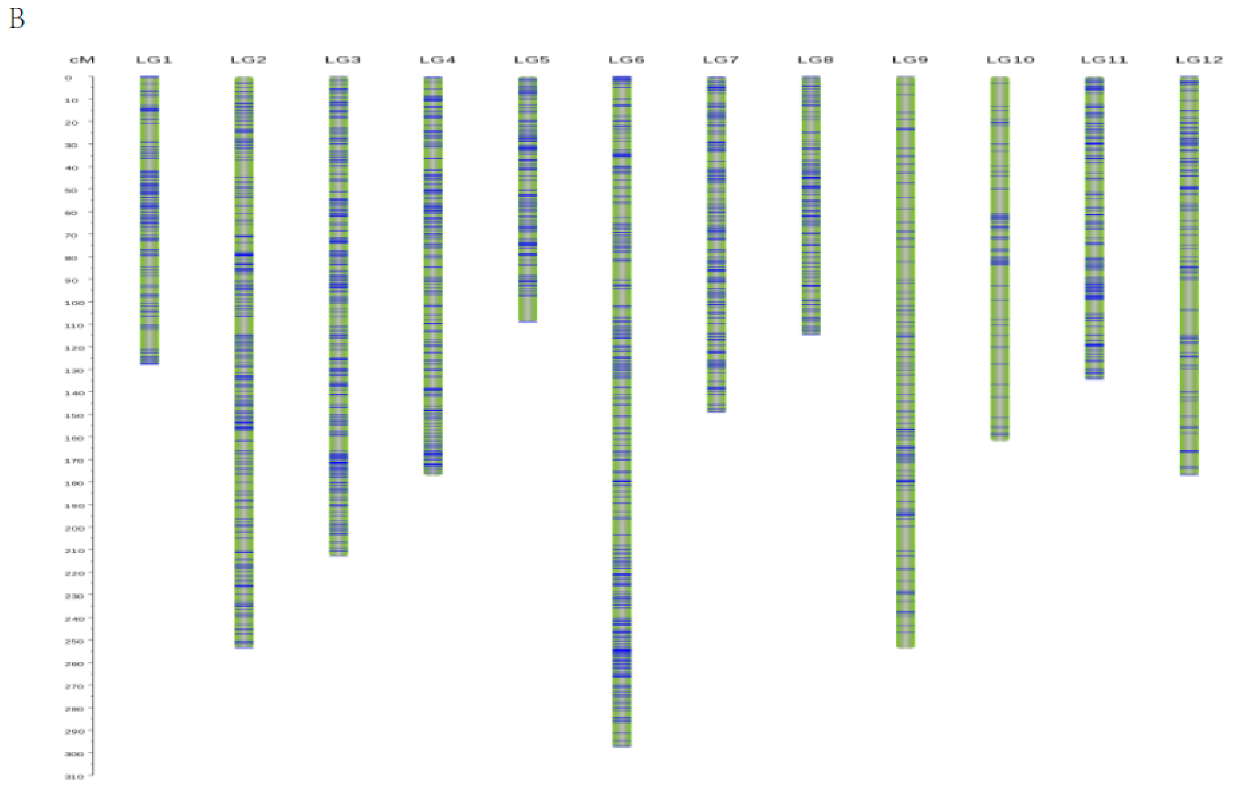 Forests Free Full Text The Construction Of A High Density Genetic Map For The Interspecific 3495