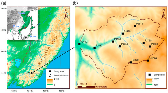 Forests | Free Full-Text | Local Topography Has Significant Impact