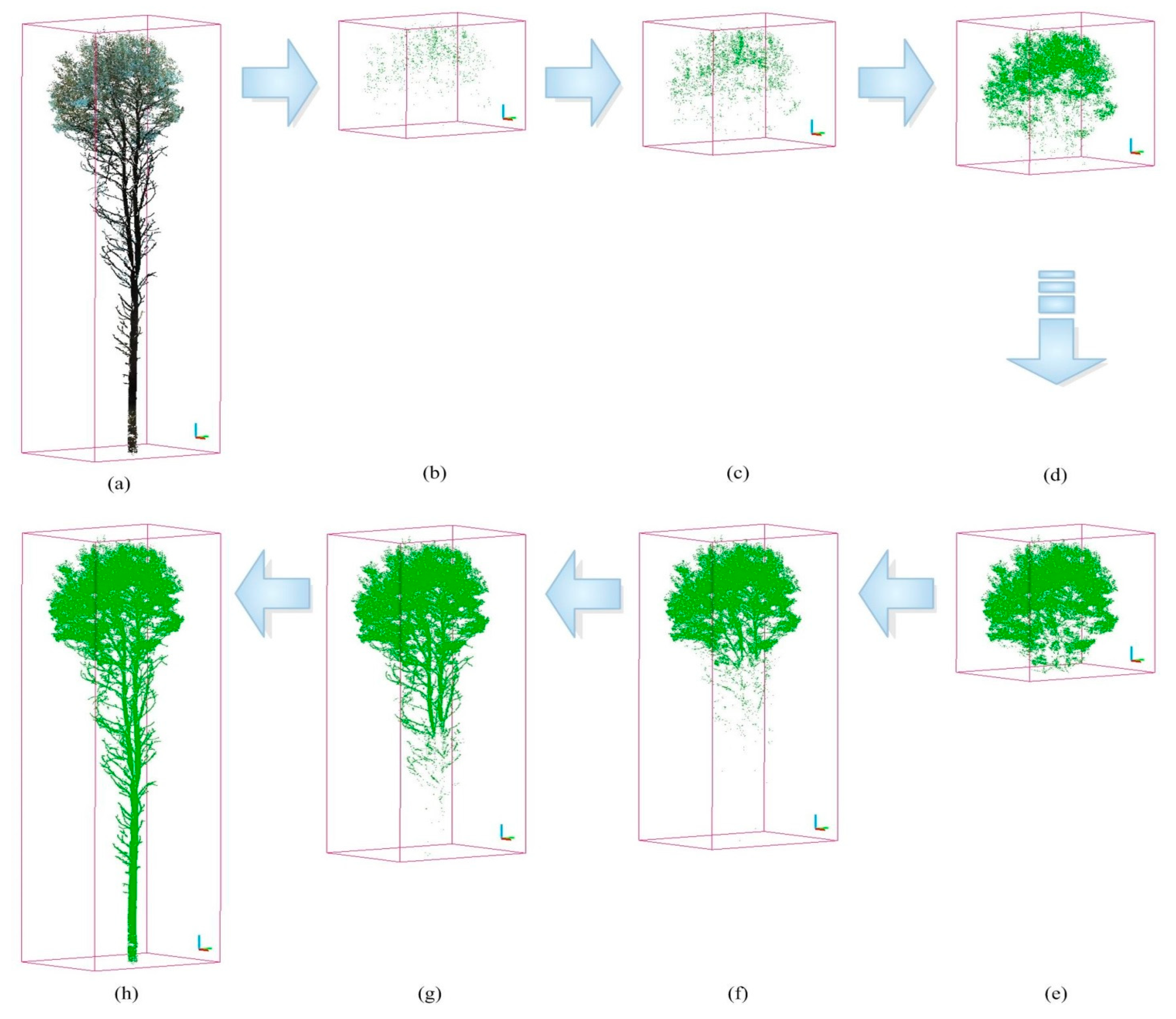 Forests | Free Full-Text | Automatic Separation of Photosynthetic 