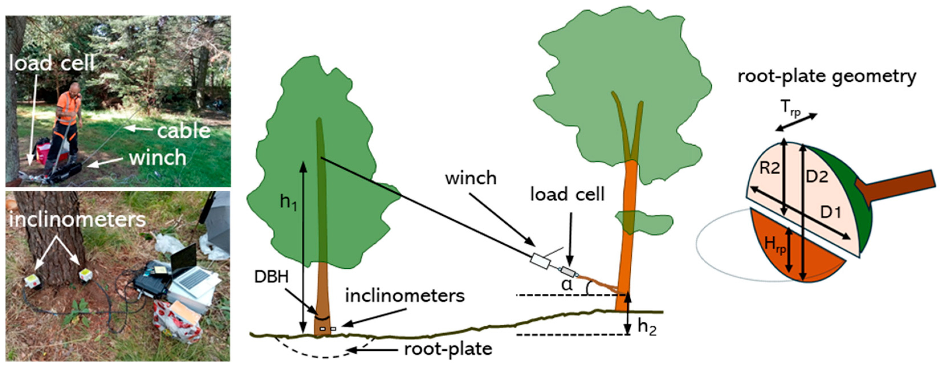 Pushing Tree Force On the Uprooting Stability of Trees: Combined Loading Effect on Tree ...