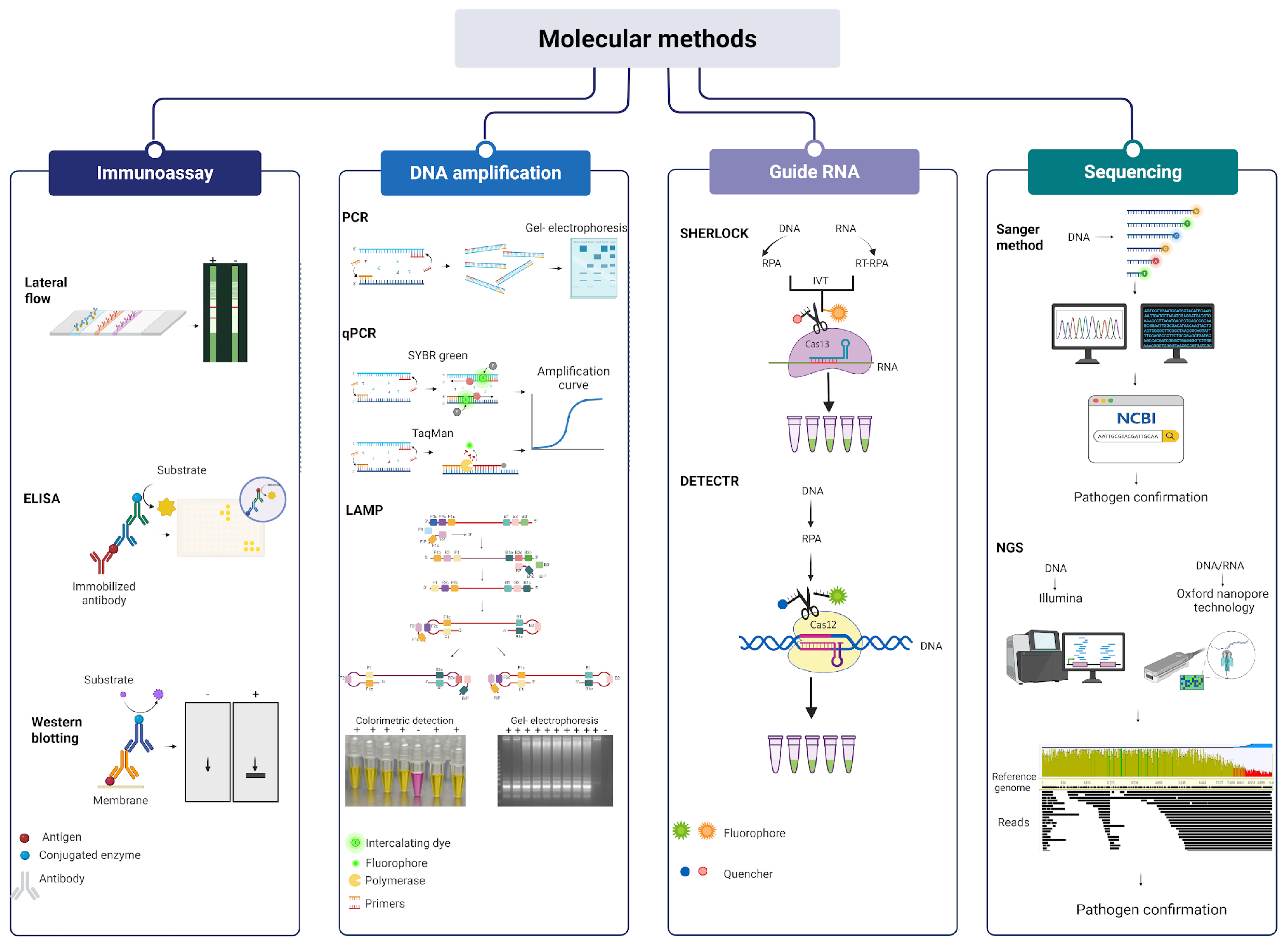 Cross-Ecosystem Transmission of Pathogens from Crops to Natural Vegetation