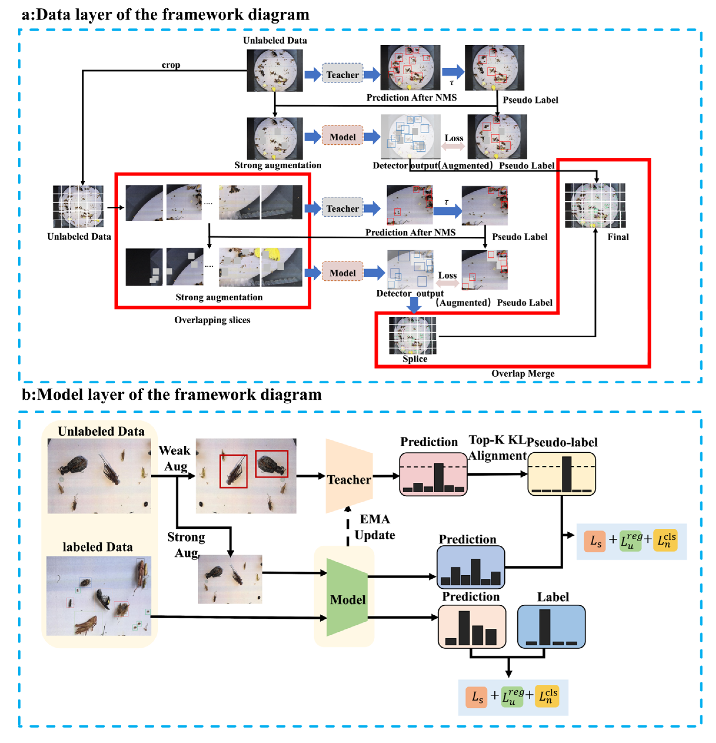 Tackling Scale Variation and Annotation Scarcity in Semi-Supervised ...