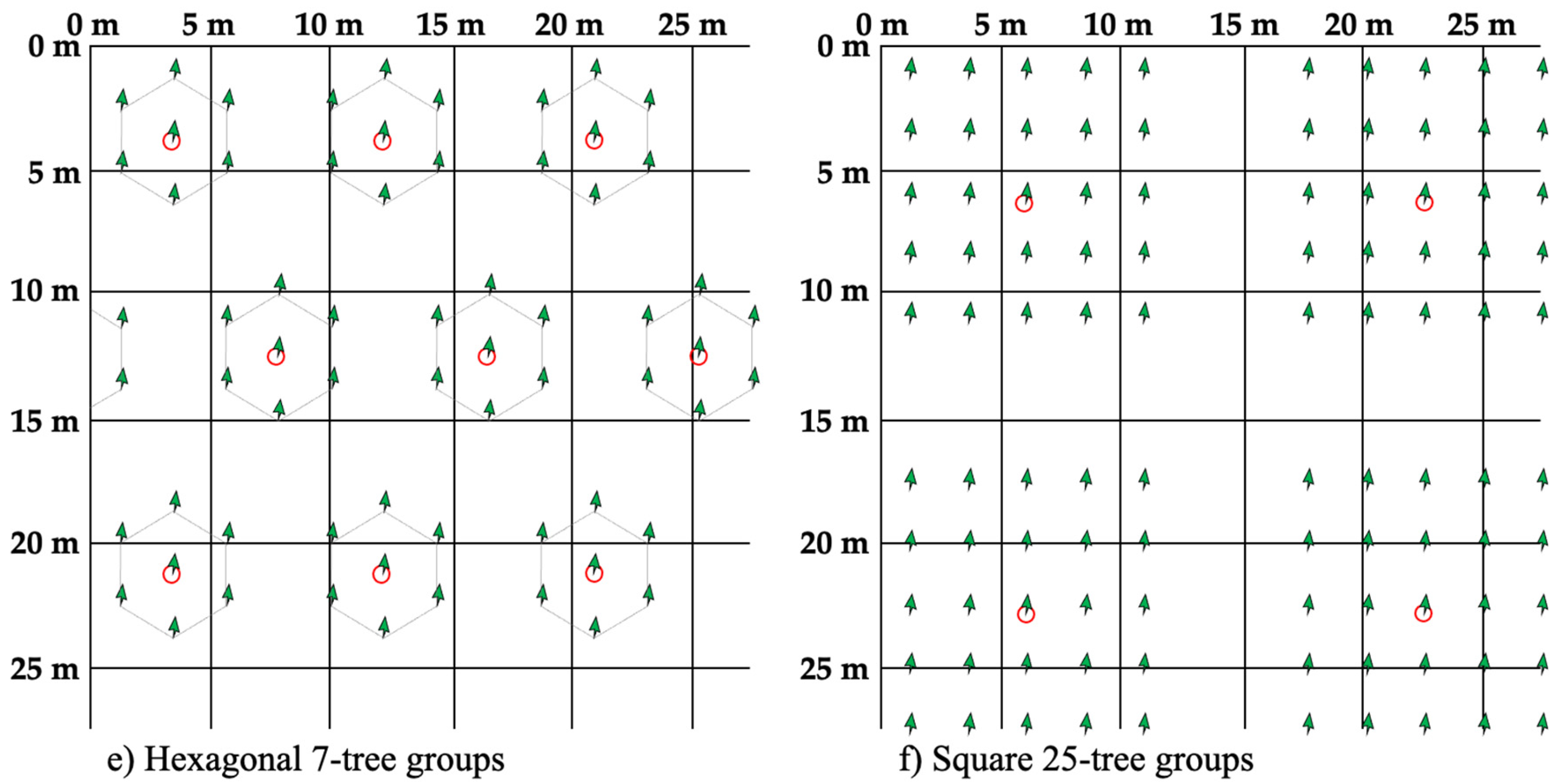 Variable Density Tree Example Variable Density Planting: Using Marigolds as a Model System to ...