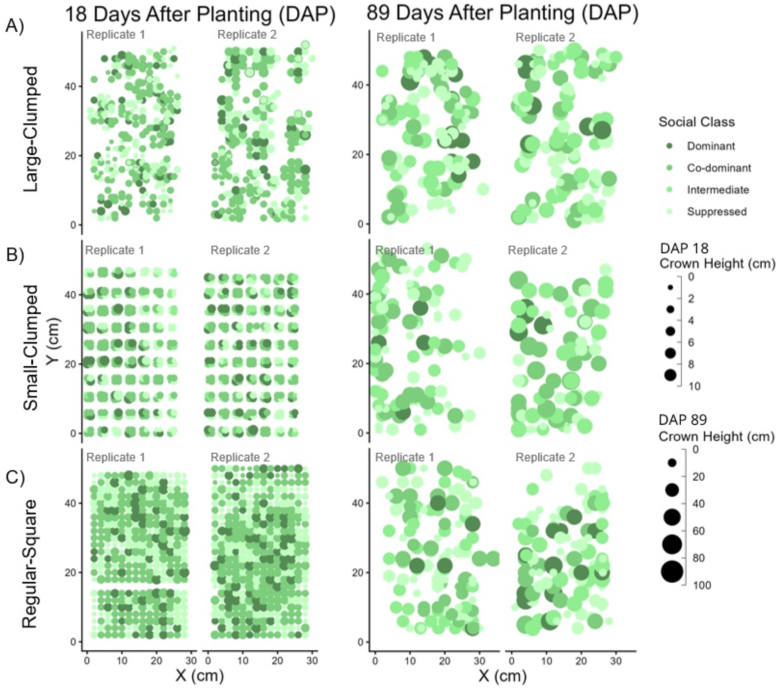 Variable Density Tree Example Variable Density Planting: Using Marigolds as a Model System to ...