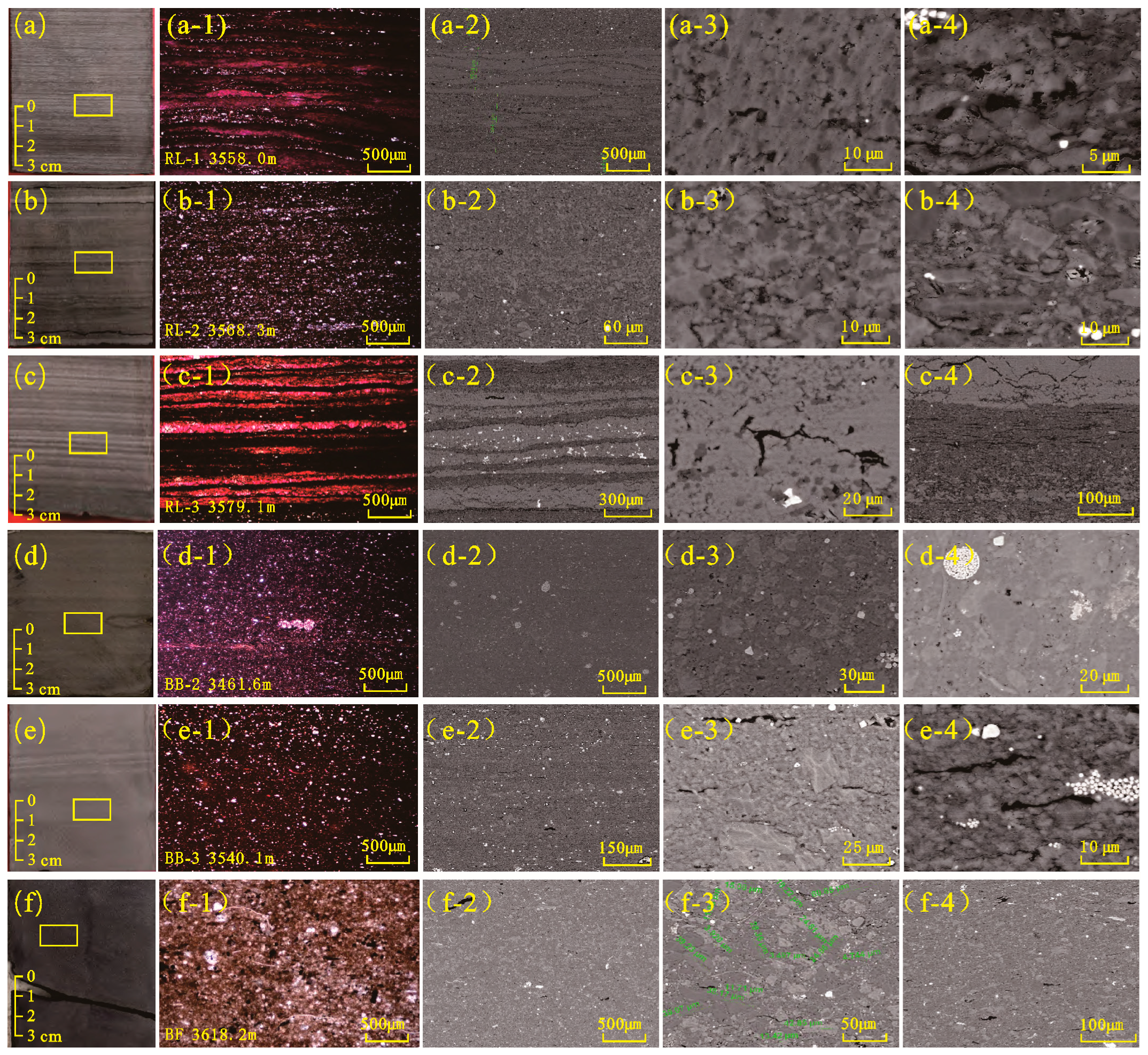 Pore Structure and Fractal Characteristics of Low-Maturity Shales in ...
