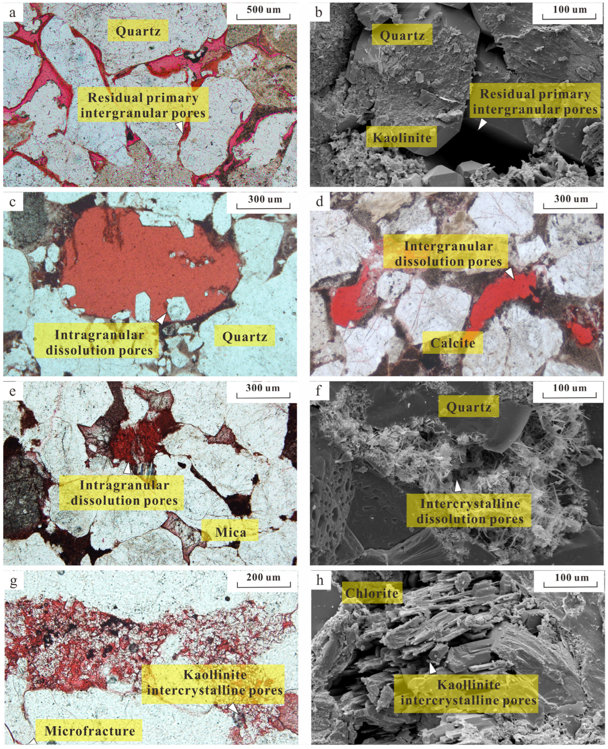 Multifractal Characteristics and Controlling Factors of Tight Sandstone ...