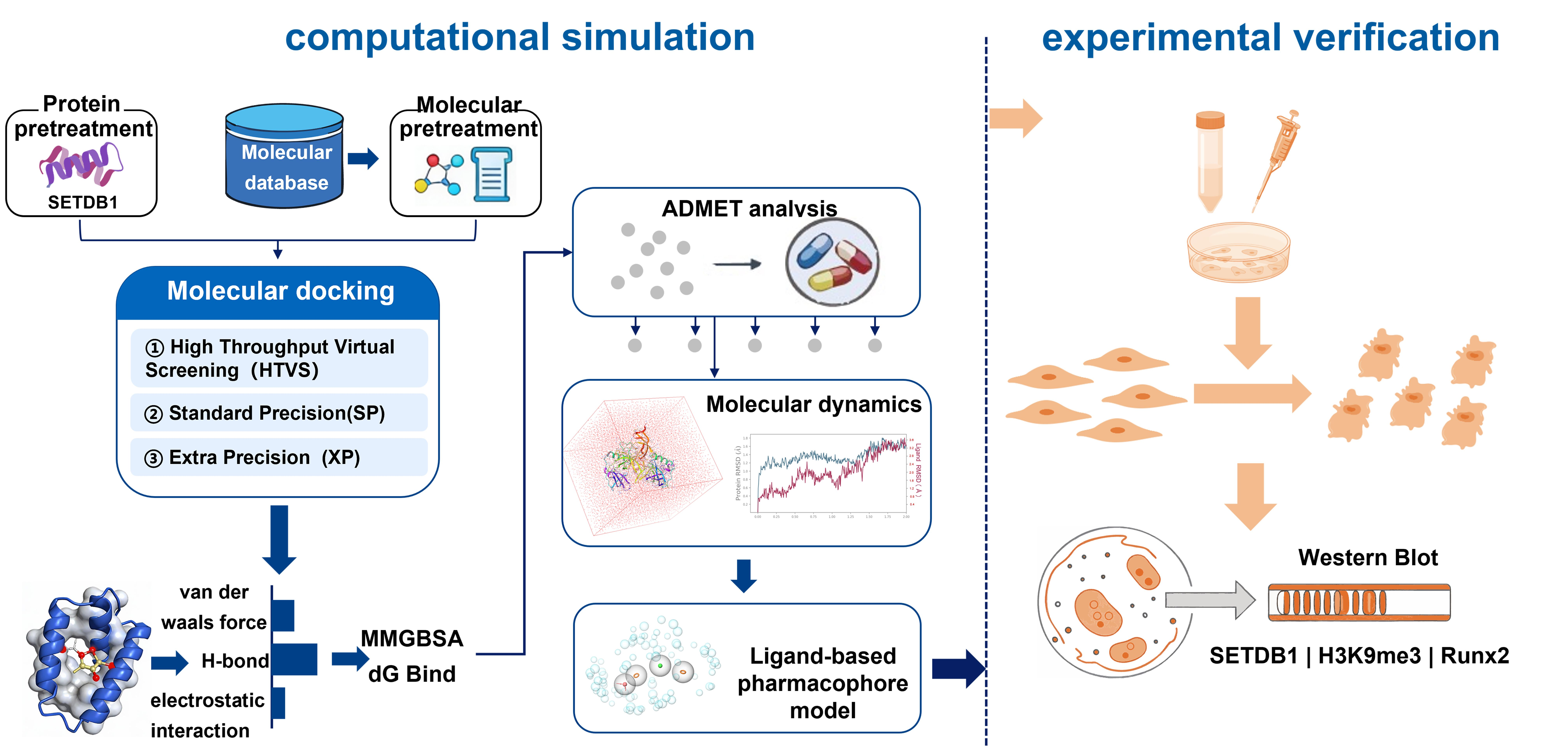 In Silico Discovery and Preliminary In Vitro Evaluation of a SETDB1 ...