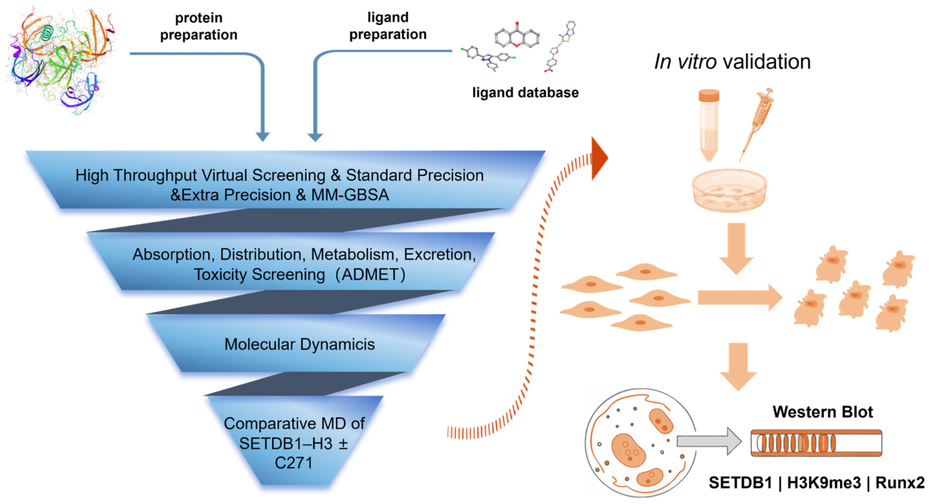 In Silico Discovery and Preliminary In Vitro Evaluation of a SETDB1 ...