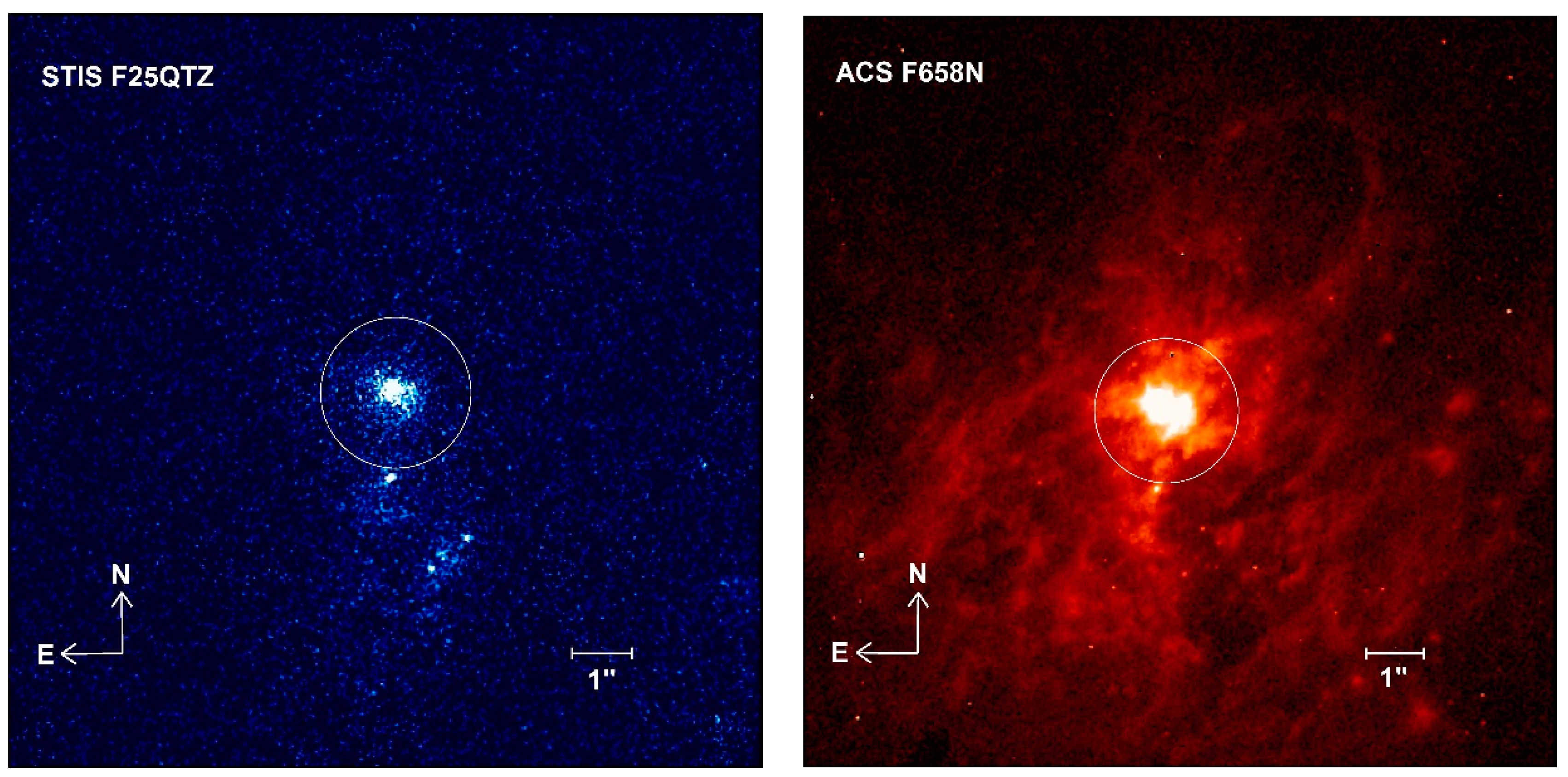 Galaxies | Free Full-Text | Massive Star in the Ultraviolet Observed with Space Telescope