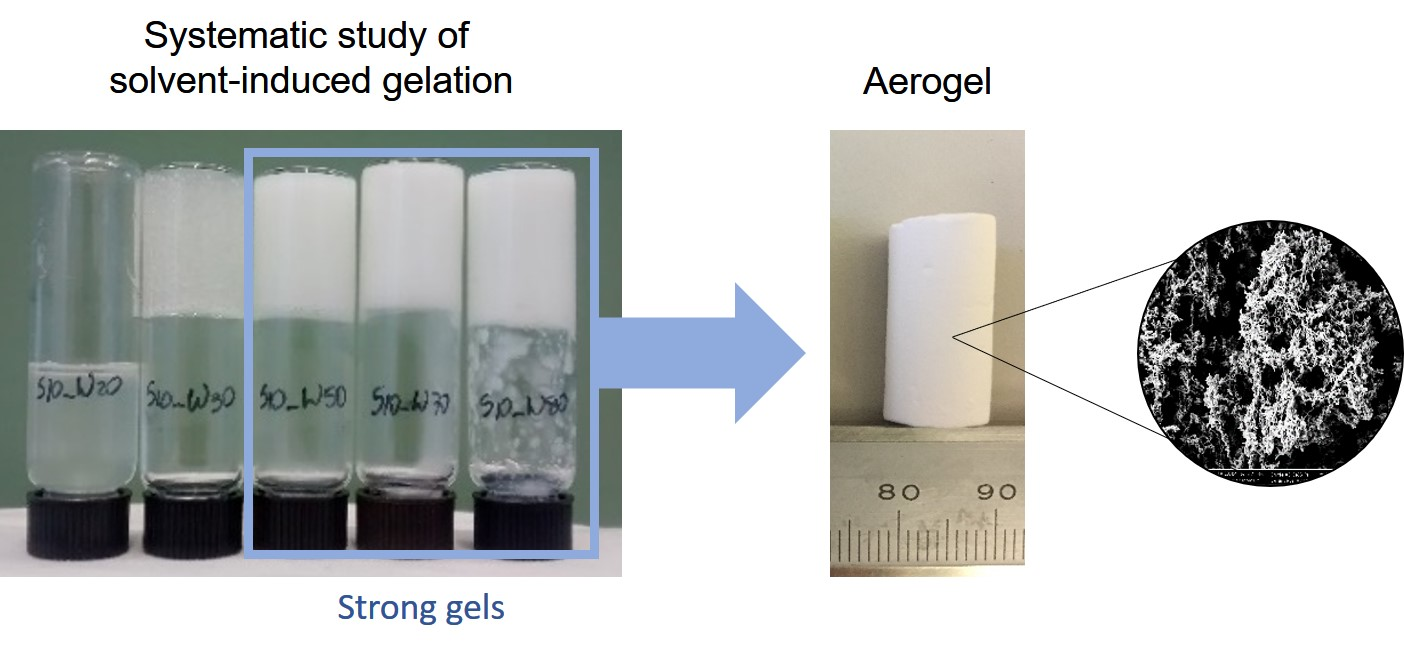 Induction of Maize Starch Gelatinization and Dissolution at Low