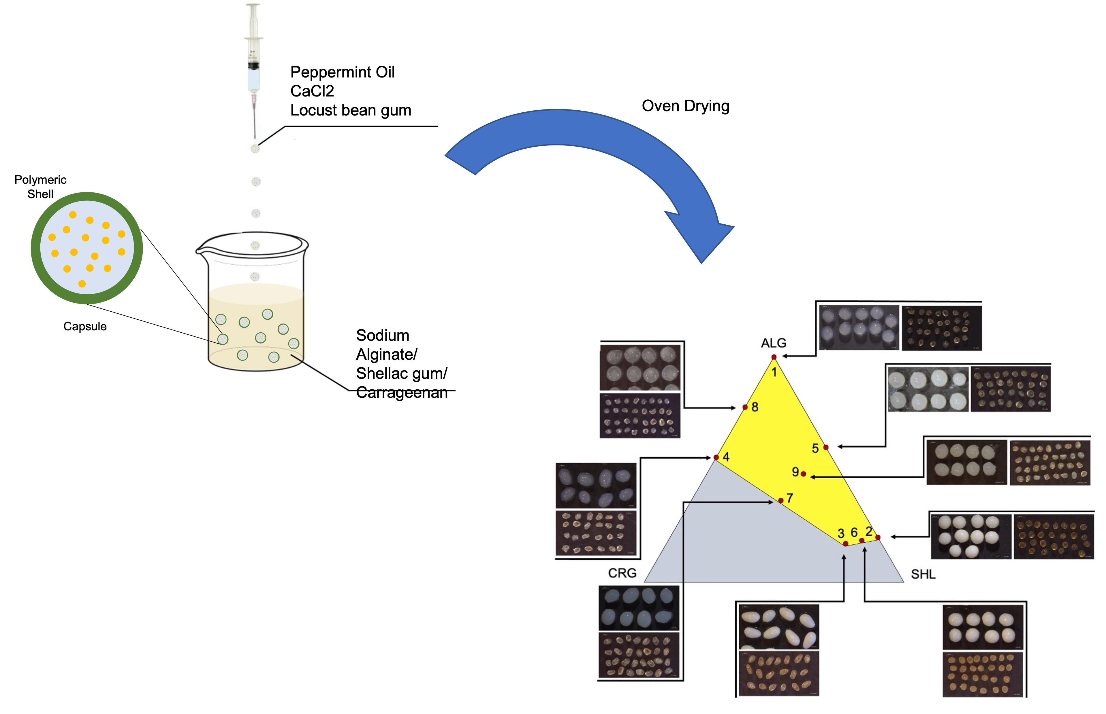 Gels | Full-Text | Shellac Gum/Carrageenan Alginate-Based Core–Shell Systems Containing Peppermint Essential Oil Formulated by Mixture Design Approach