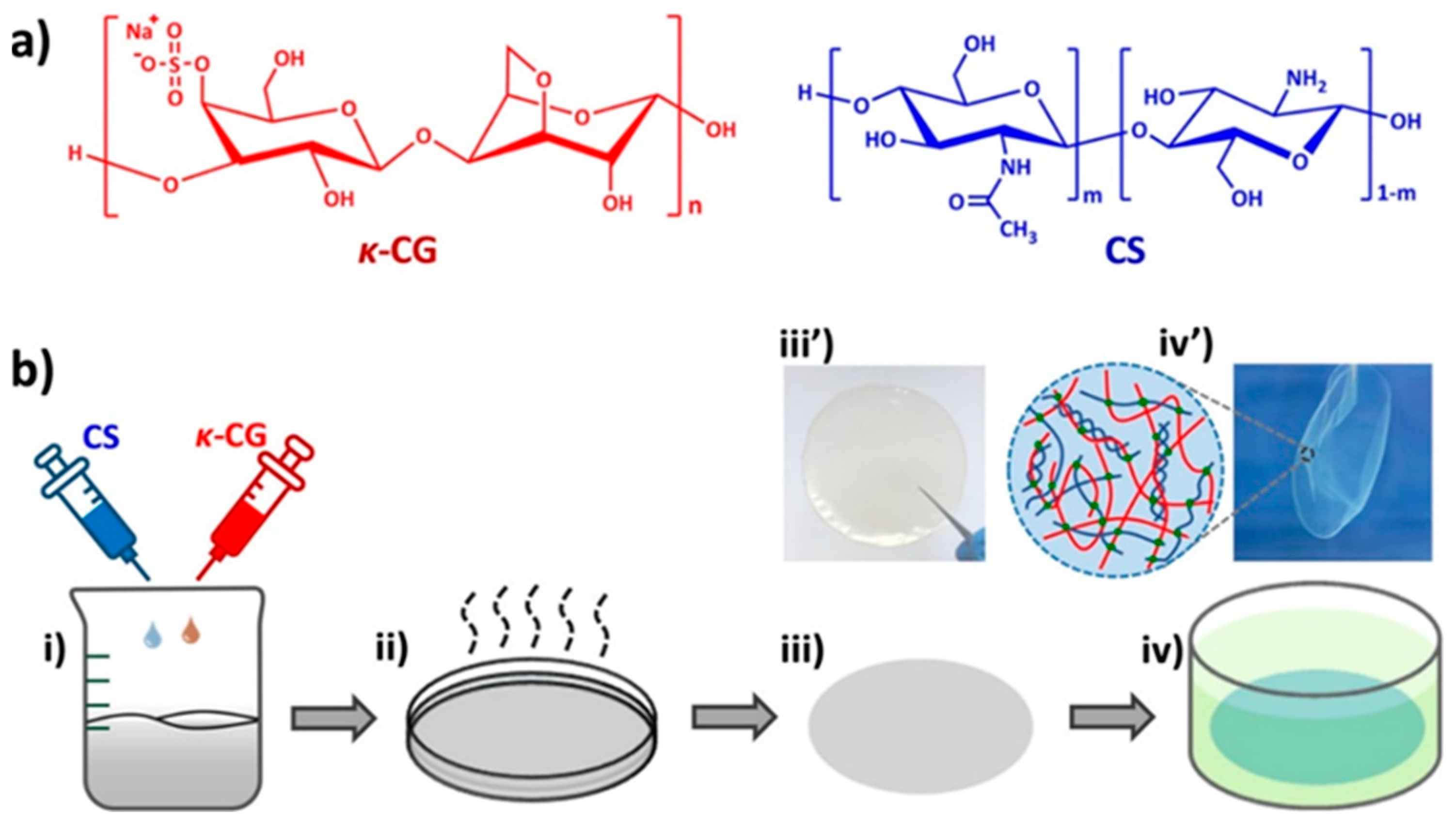 Gels | Free Full-Text | Update on Chitosan-Based Hydrogels: Preparation ...
