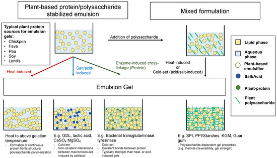 Recent advances in improving stability of food emulsion by plant  polysaccharides - ScienceDirect
