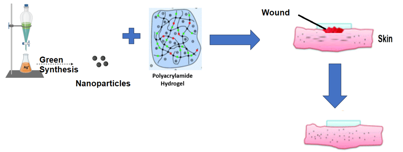 Gels Free FullText Green Synthesis of Silver Nanoparticles Loaded