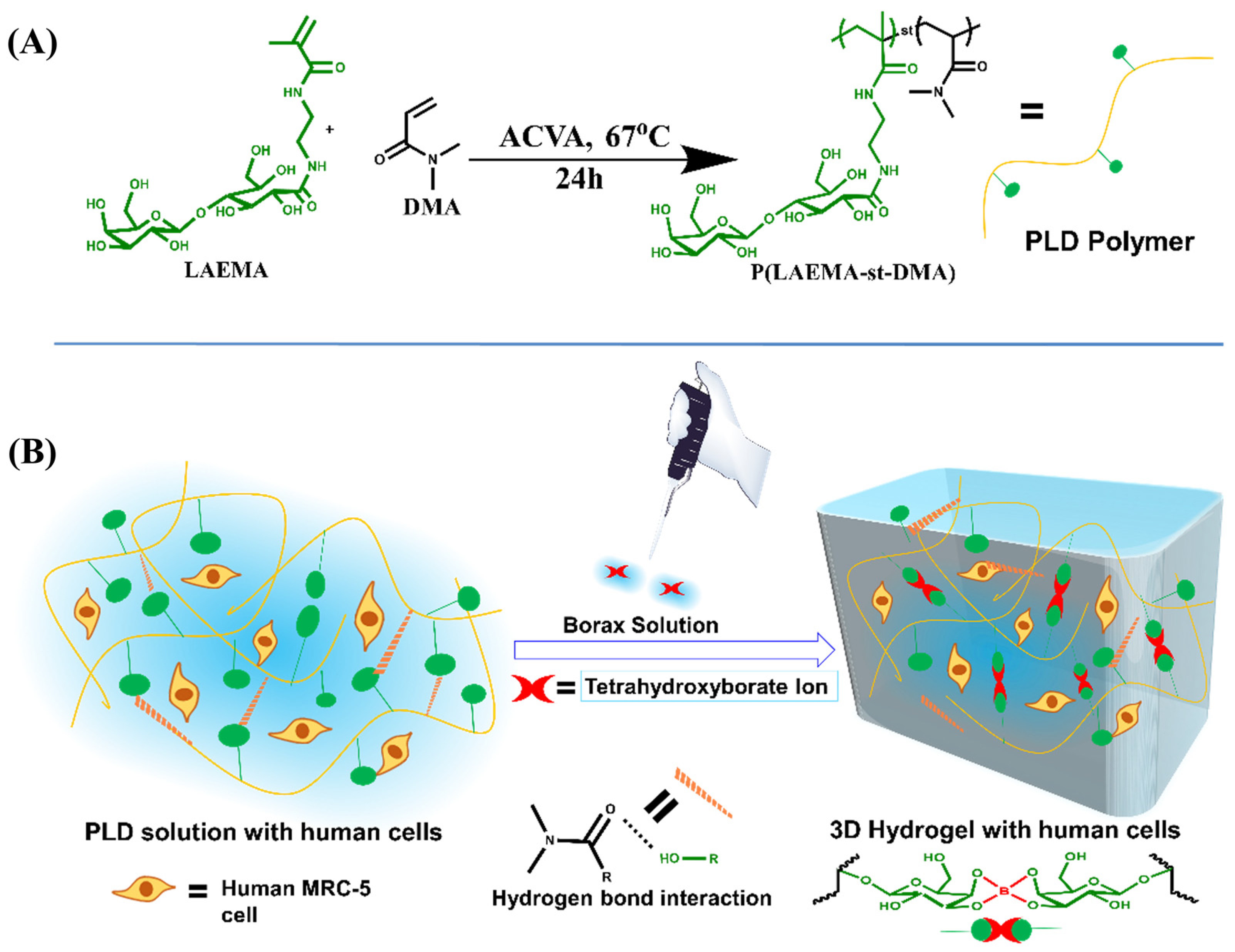 https://pub.mdpi-res.com/gels/gels-09-00709/article_deploy/html/images/gels-09-00709-sch001.png?1694145713