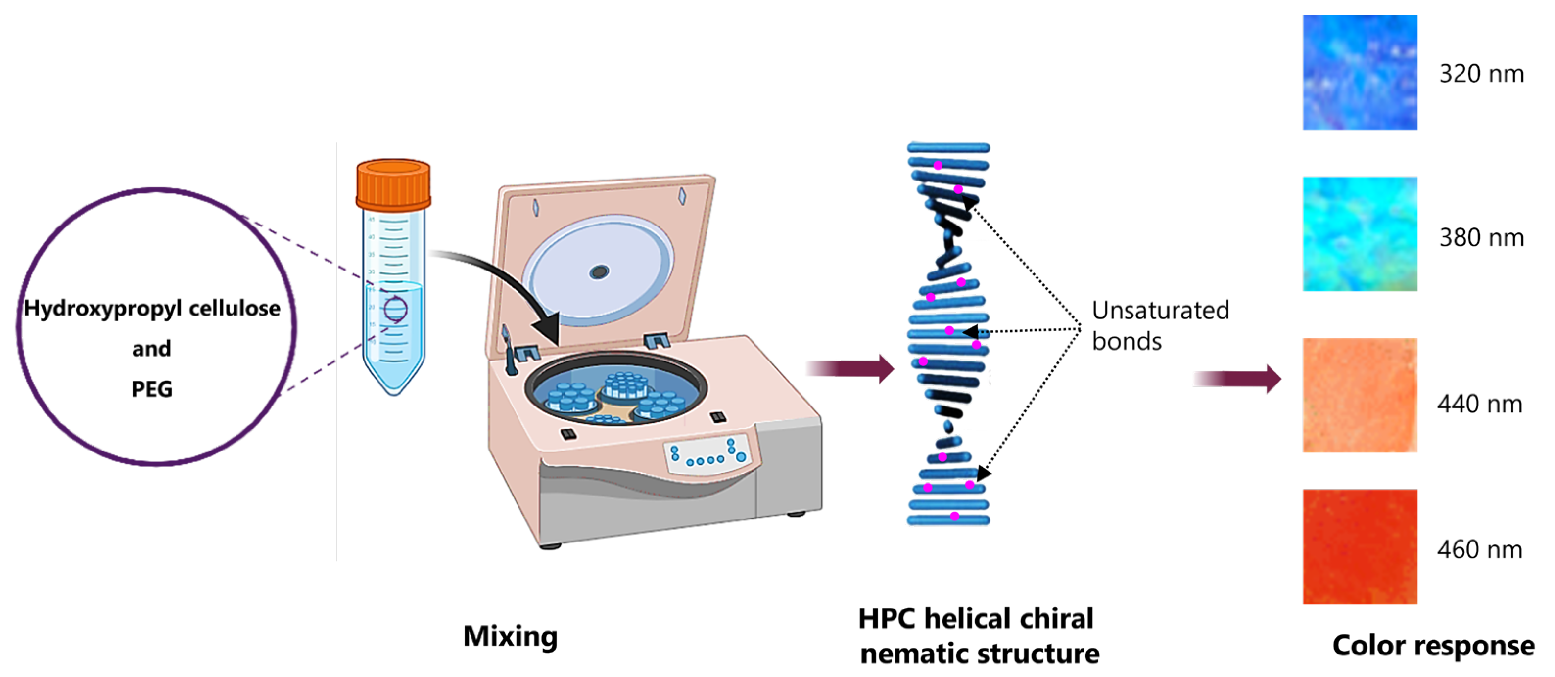 Cellulose-Based Hybrid Hydrogels for Tissue Engineering
