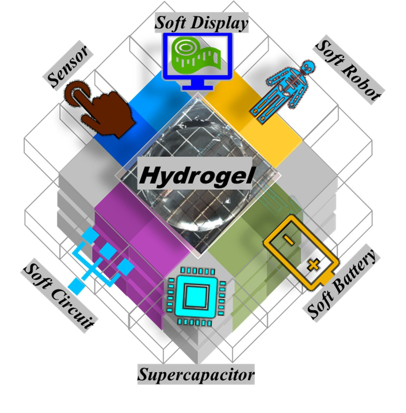  Single- and Multi-Network Hydrogels for Soft Electronics—A Review