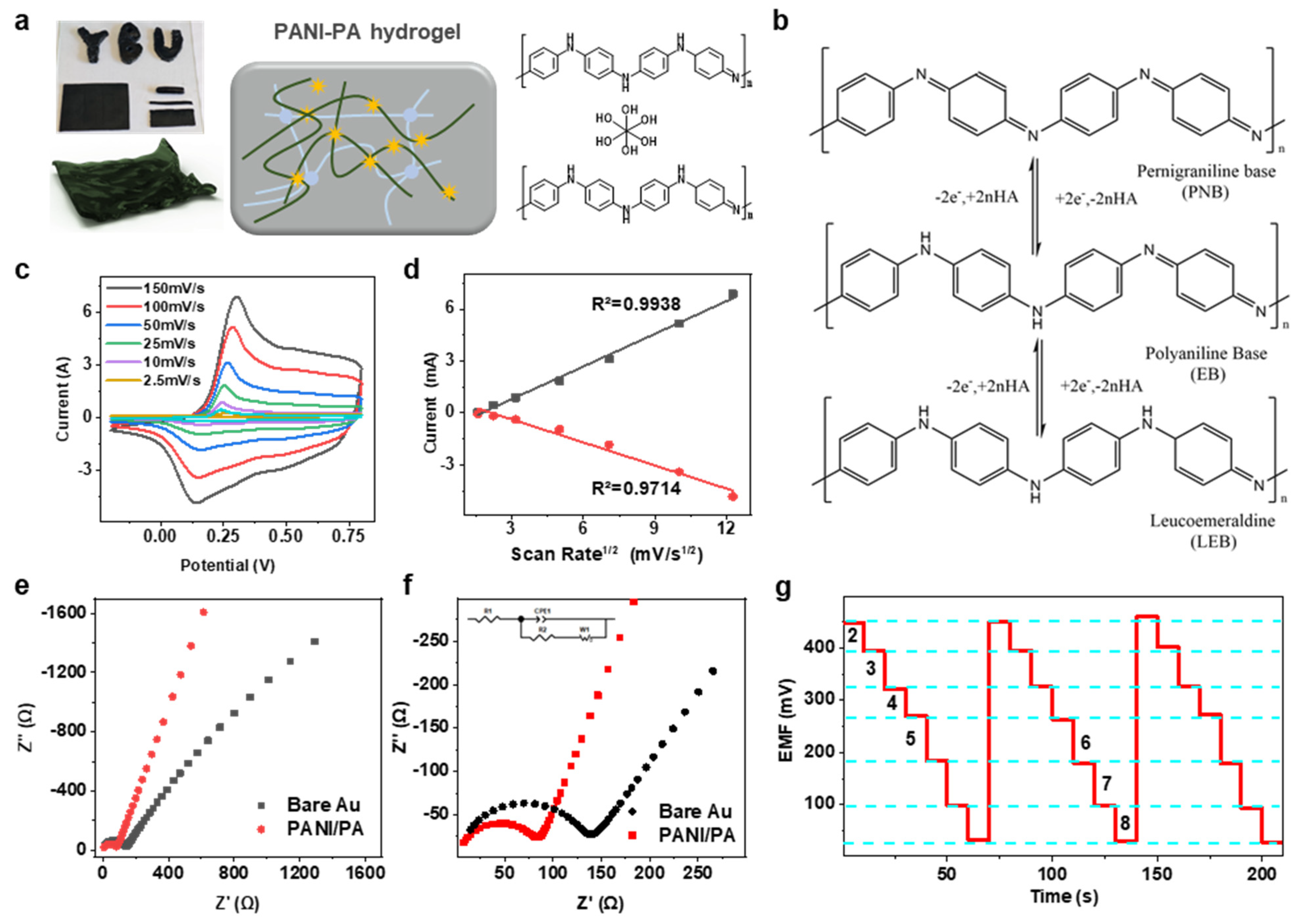 Development and Electrochemical Performance of a PANI-PA-PVA Hydrogel ...