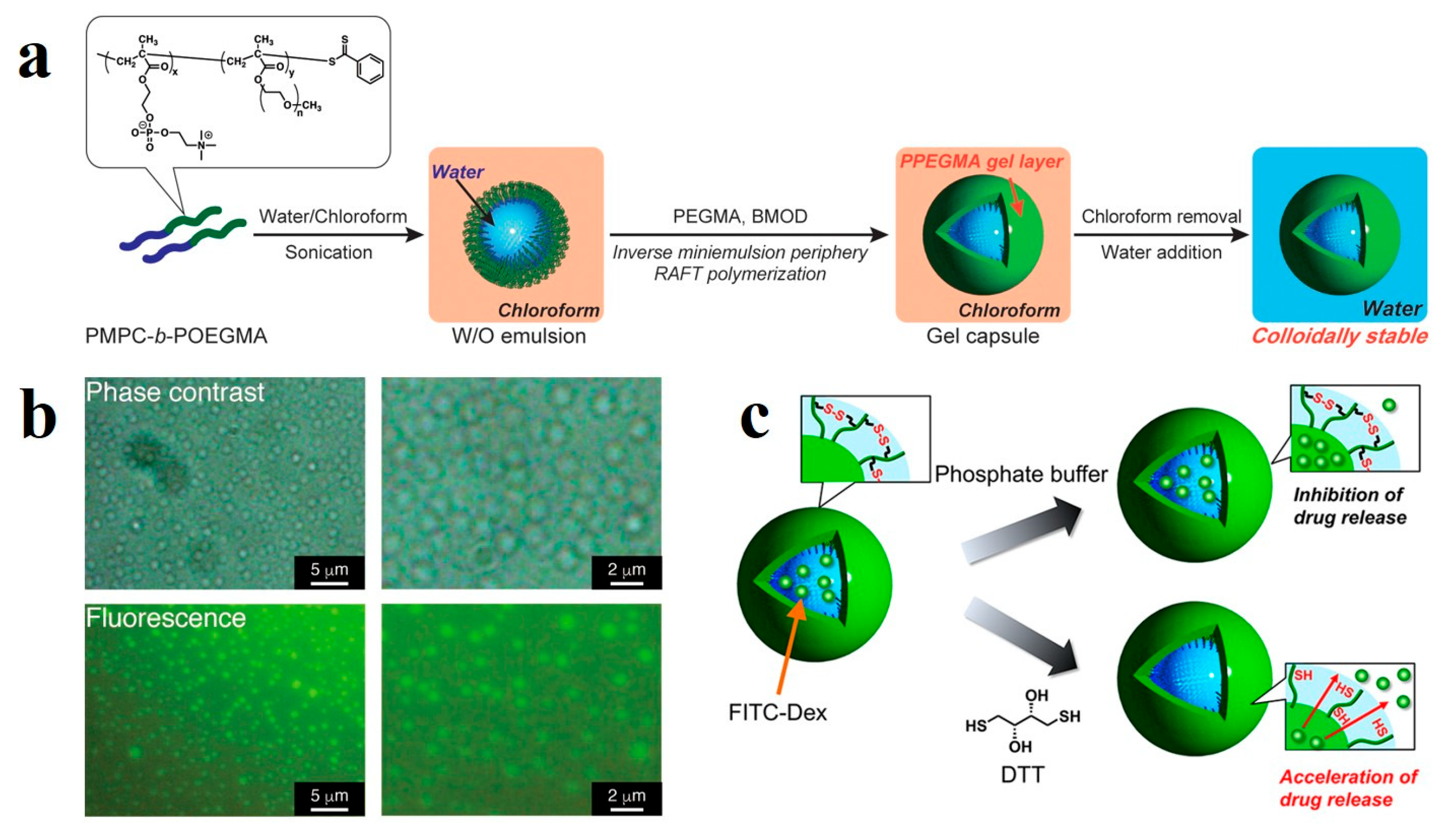 Recent Advances in the Preparation of Block Copolymer Colloids and ...