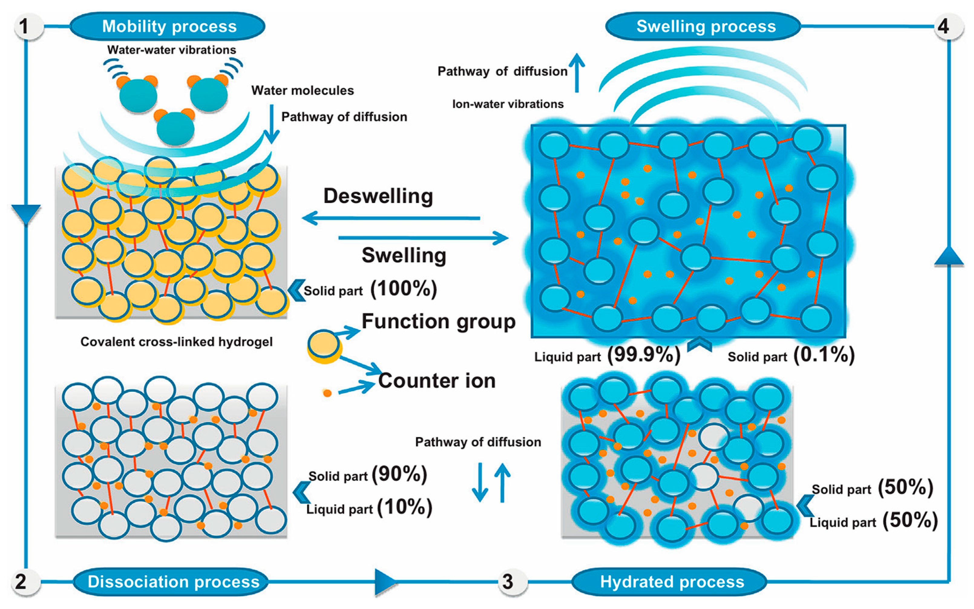 Multifunctional Bio-Gels in Environmental Remediation: Current Advances ...
