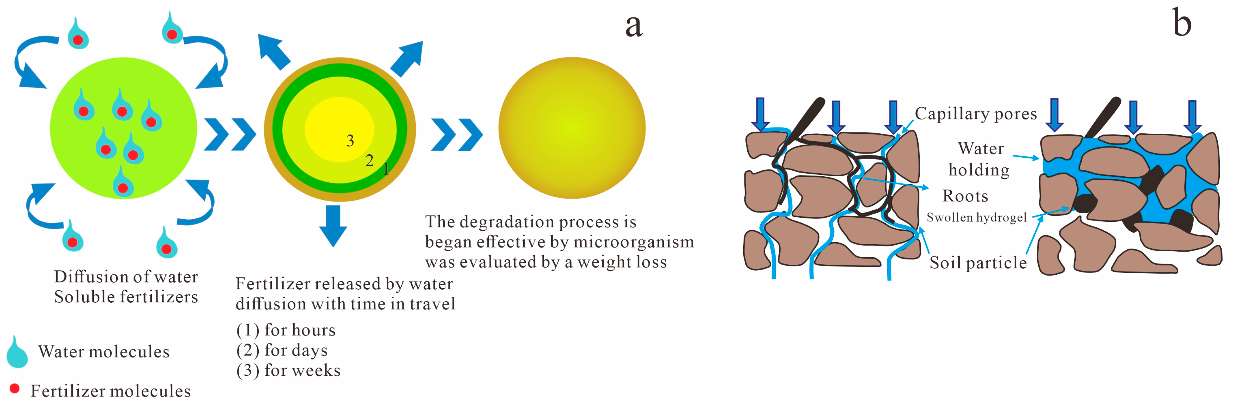 Multifunctional Bio-Gels in Environmental Remediation: Current Advances ...
