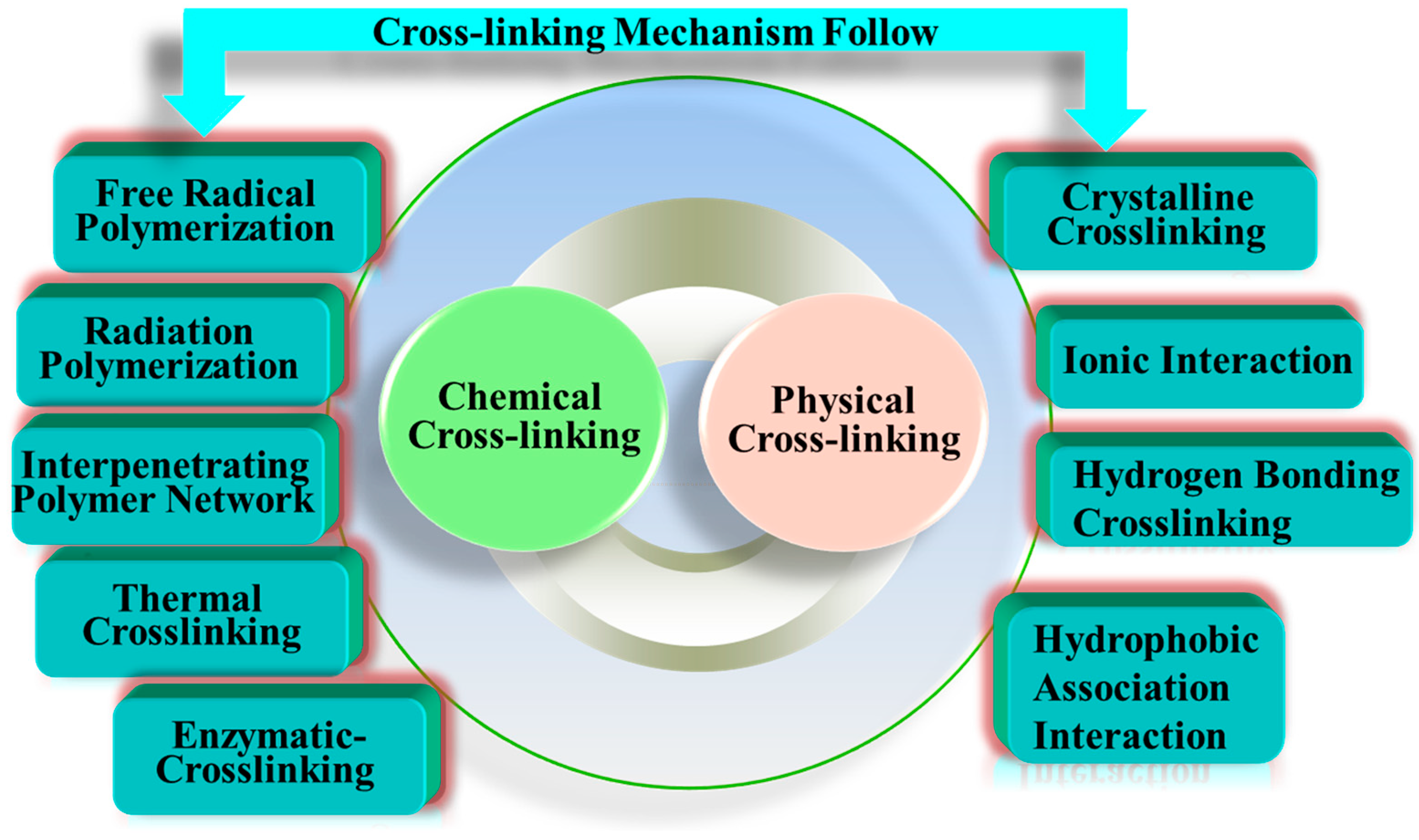 Preparation of Hydrogel by Crosslinking and Multi-Dimensional Applications