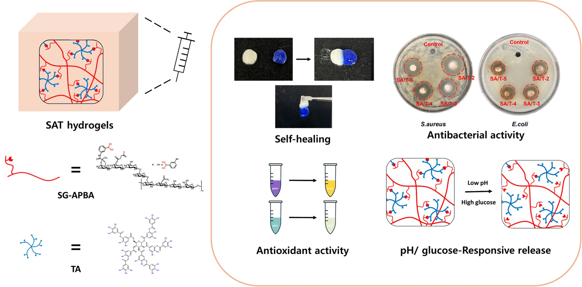 Injectable and Self-Healing Boronic-Acid-Modified Succinoglycan ...