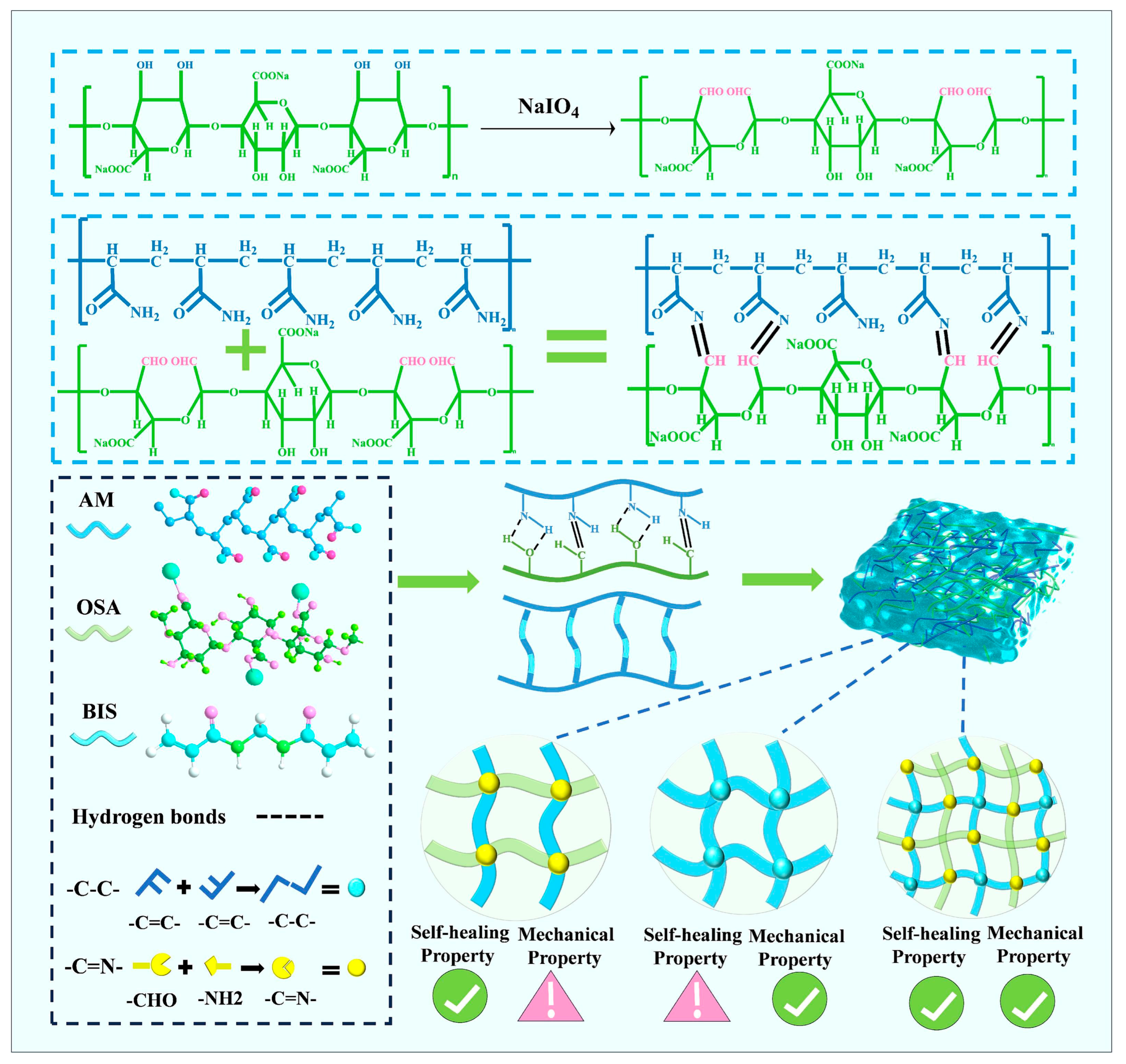 Preparation of Dual-Network Hydrogels and Their Application in