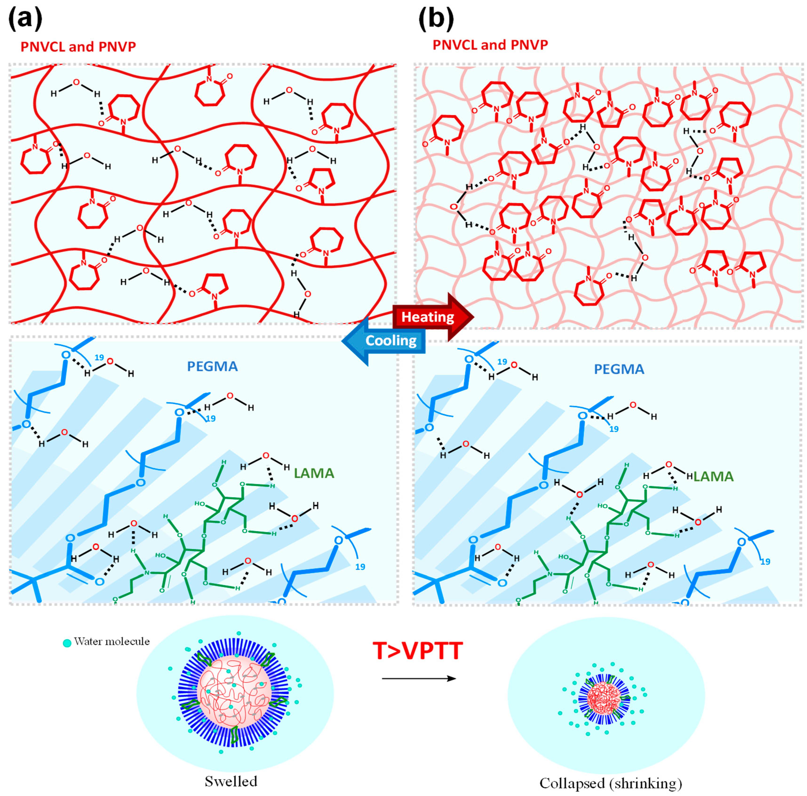 Pvcl PNVCL-Based Multifunctional Nanogels Loaded with Curcumin, 5 ...