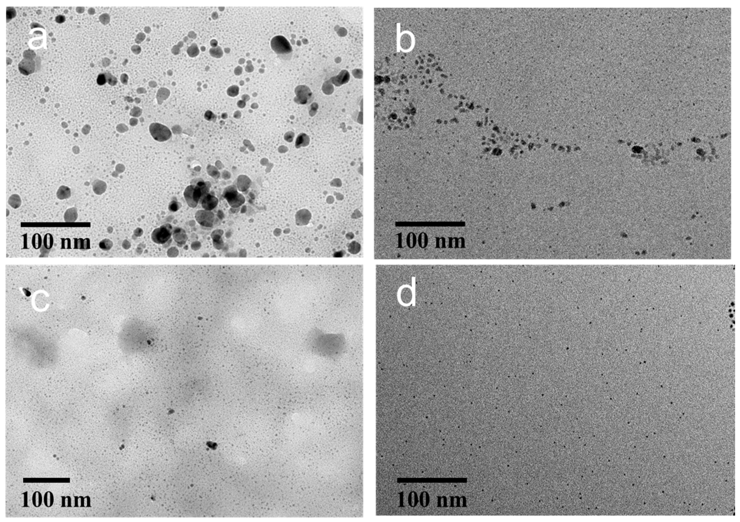 Eco-Friendly In Situ Fabrication of Silver Nanoparticle-Loaded Chitosan ...