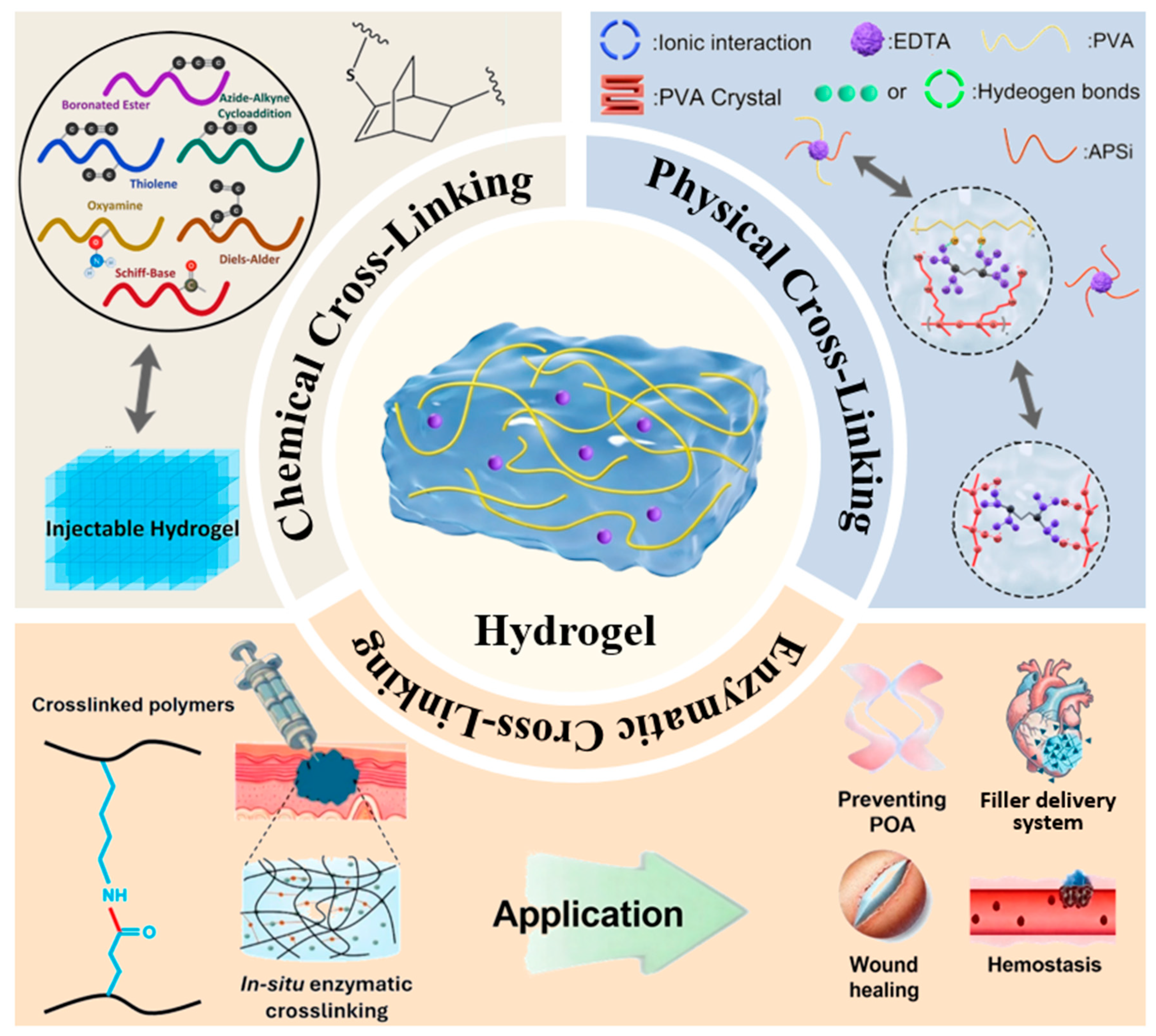 Stimuli-Responsive Hydrogels in Food Sector: Multi-Component Design ...