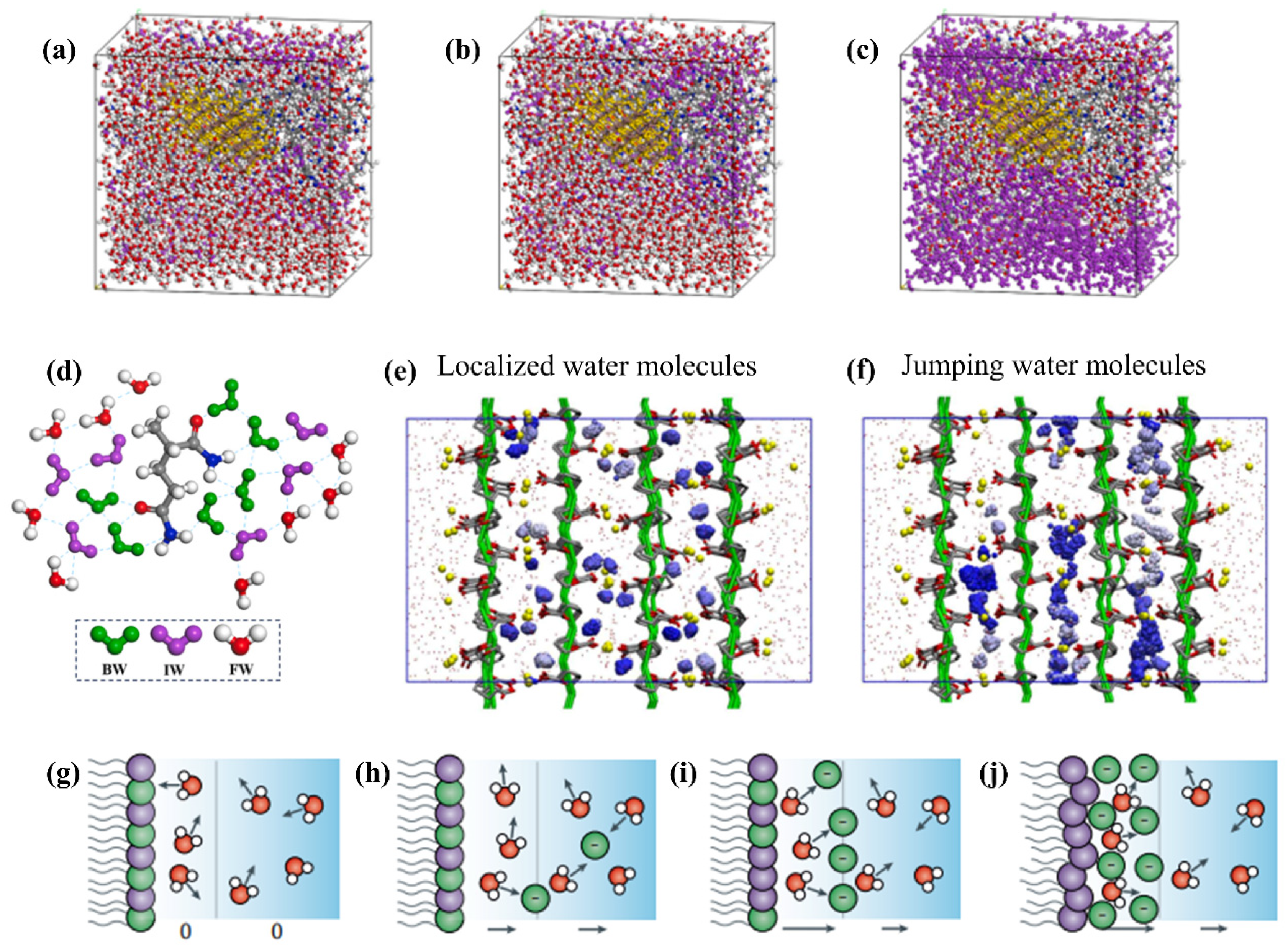 Advances in Molecular Dynamics Simulations for Hydrogels and ...
