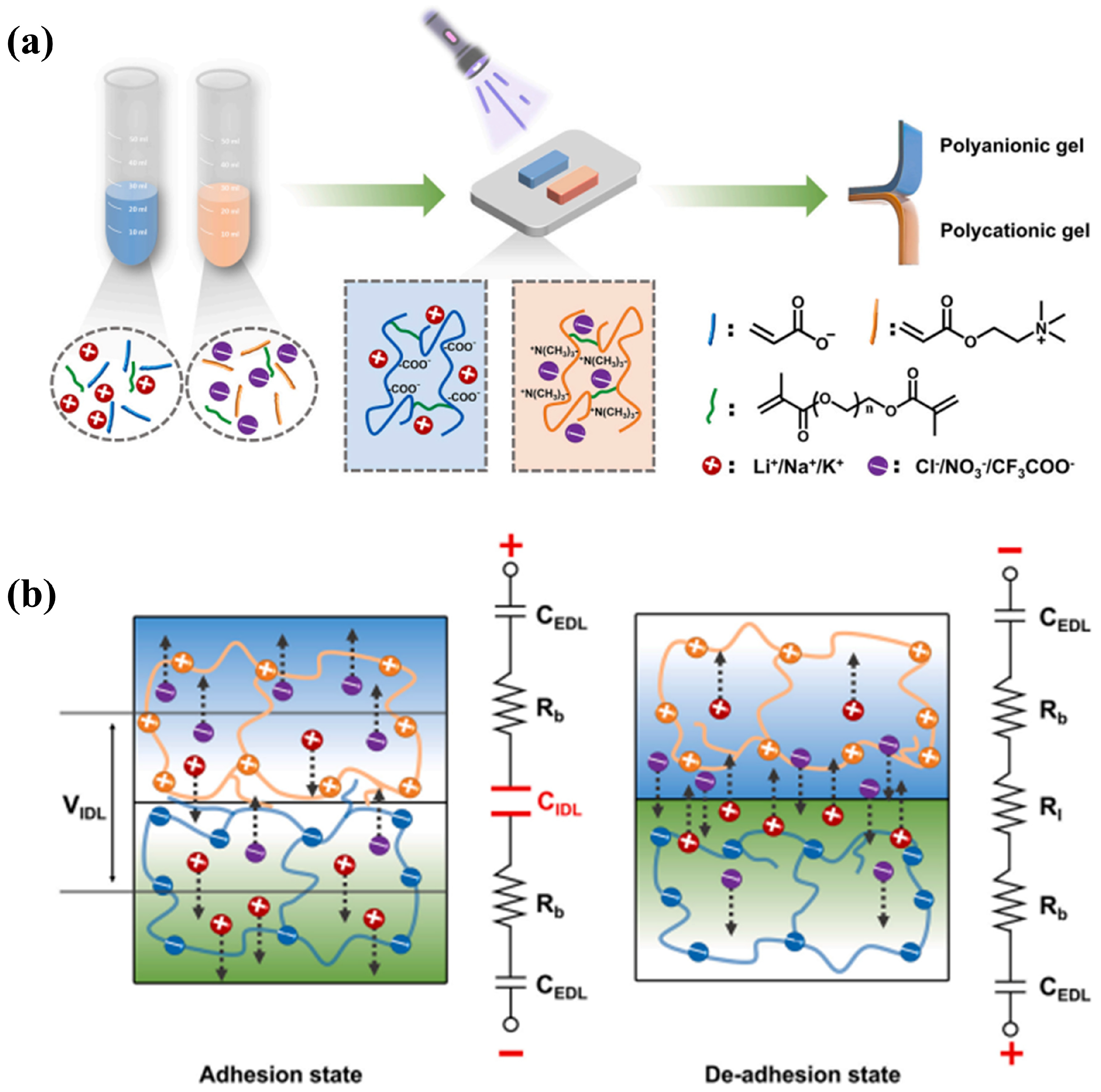 Advances in Molecular Dynamics Simulations for Hydrogels and ...