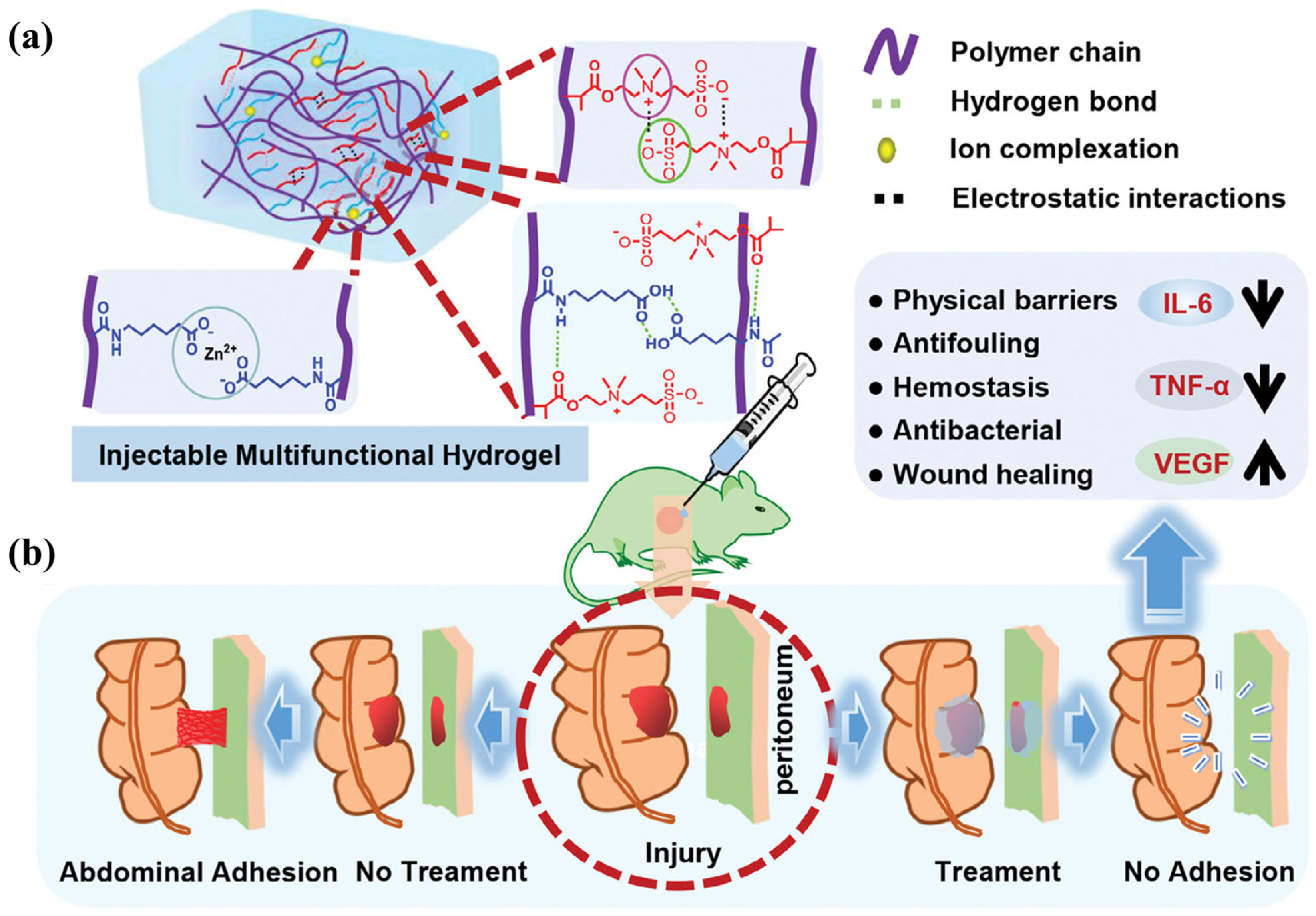 Advances in Molecular Dynamics Simulations for Hydrogels and ...