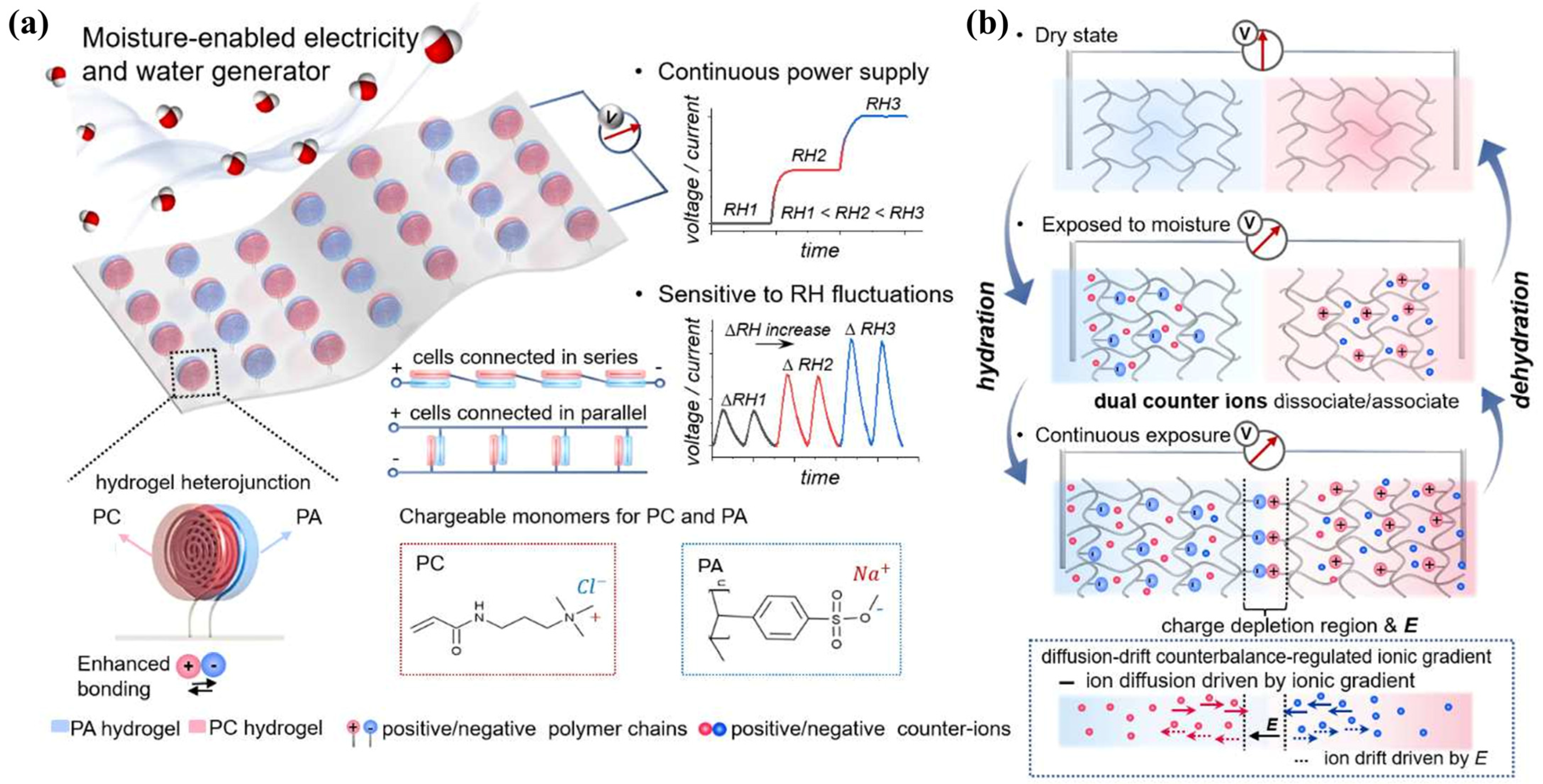 Advances in Molecular Dynamics Simulations for Hydrogels and ...