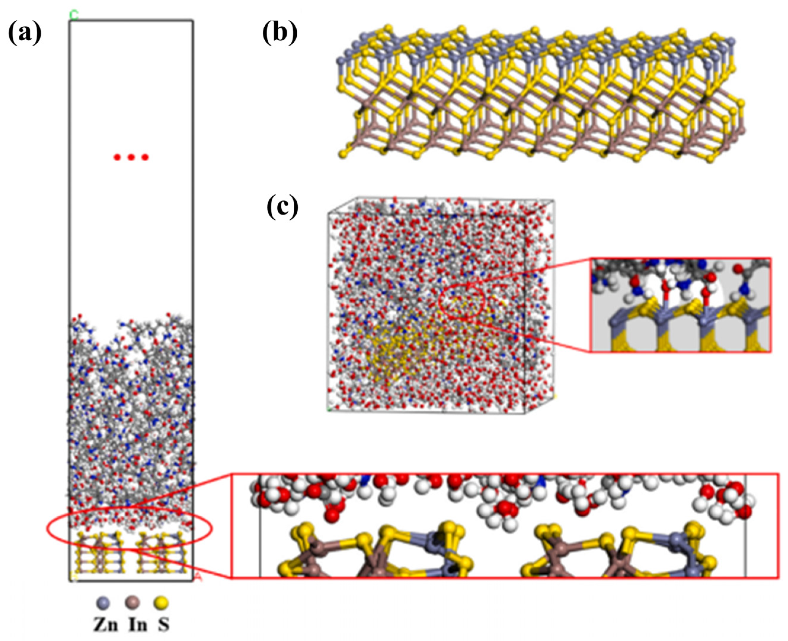 Advances in Molecular Dynamics Simulations for Hydrogels and ...