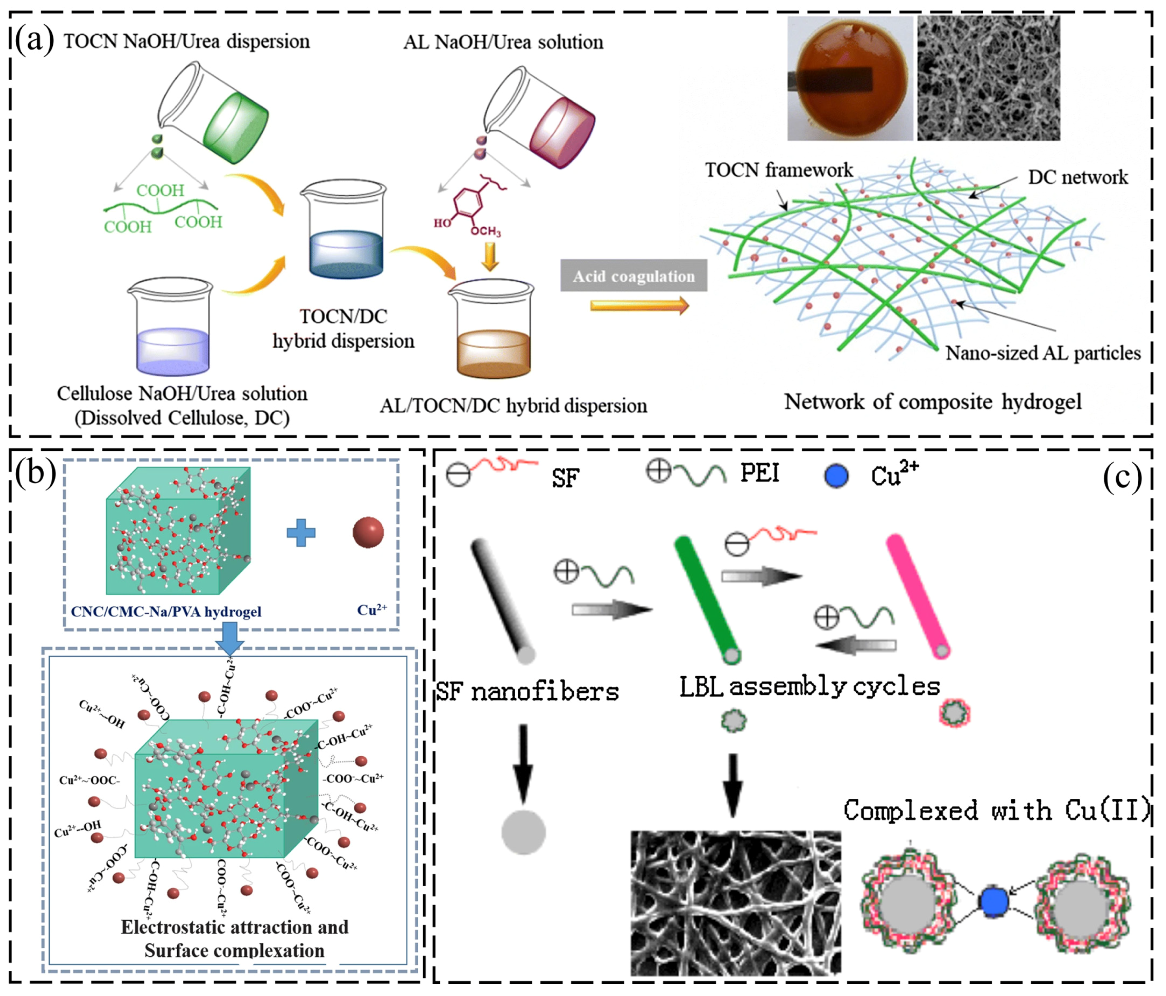 Cellulose-Based Composite Hydrogels for Heavy Metal Ion Removal: Recent ...