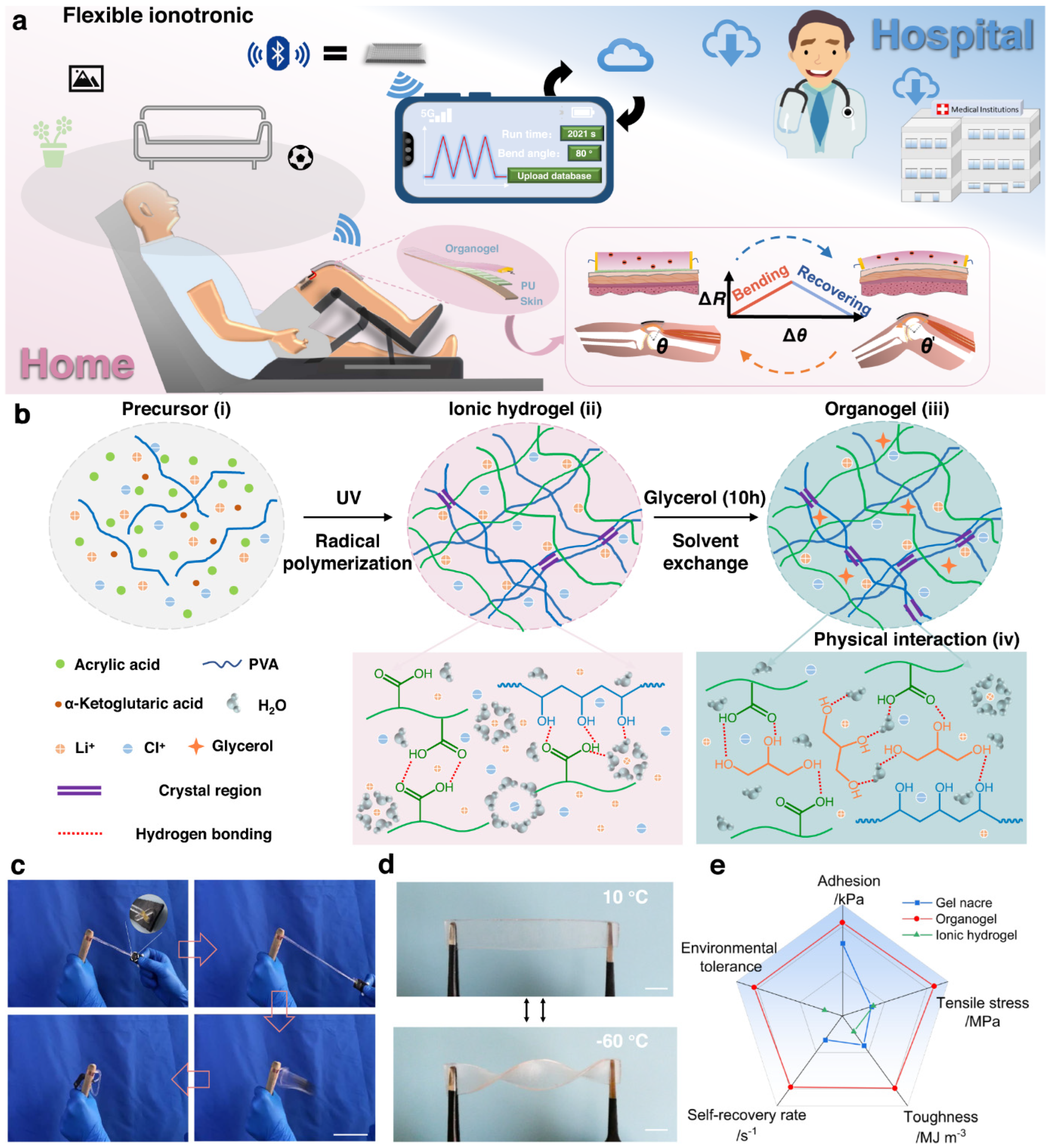 Recent Advancements in Gel-Based Flexible Electronic Sensors