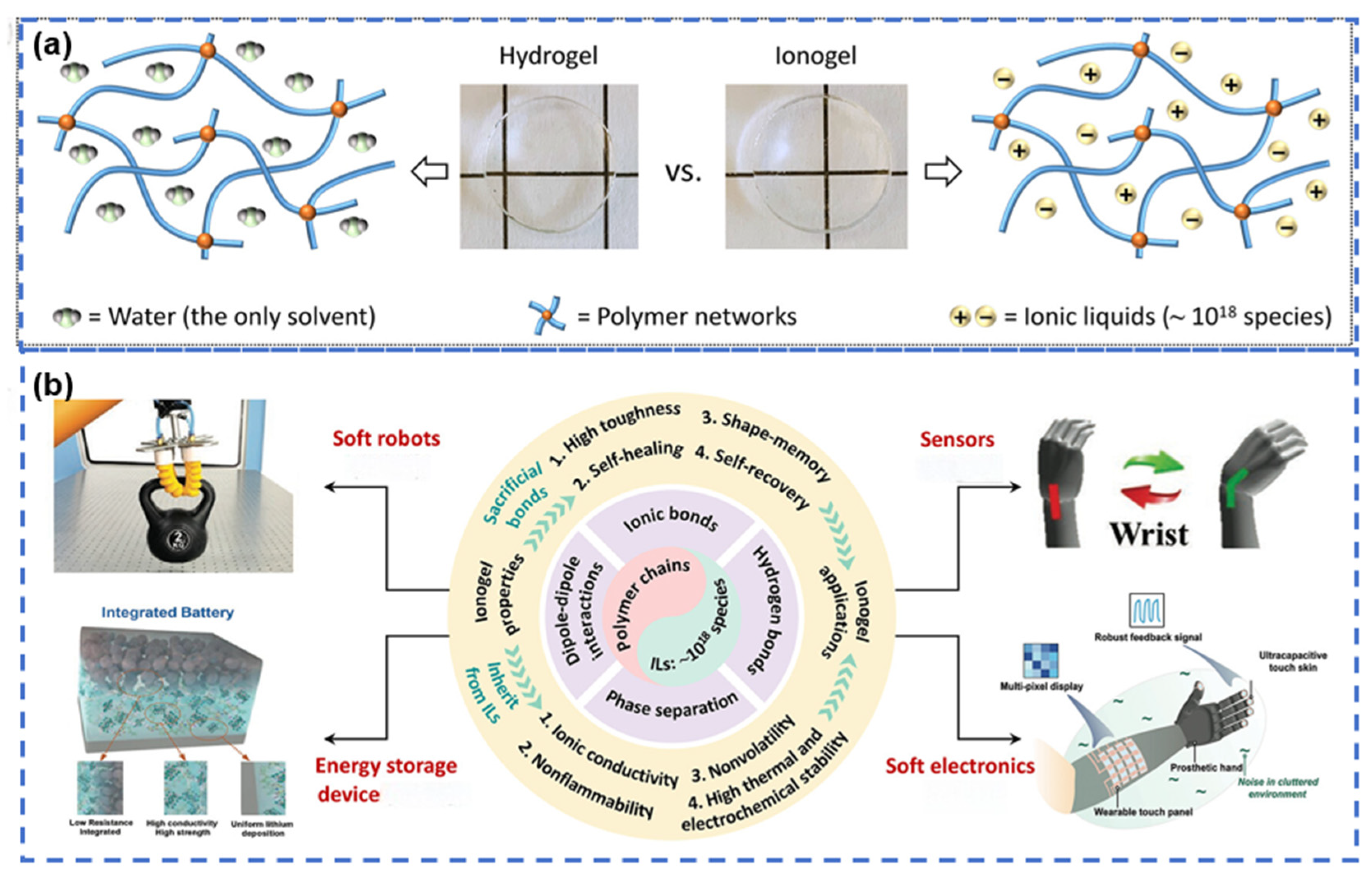 Decoupling Mechanical and Conductive Properties of Cellulose Ionogels ...