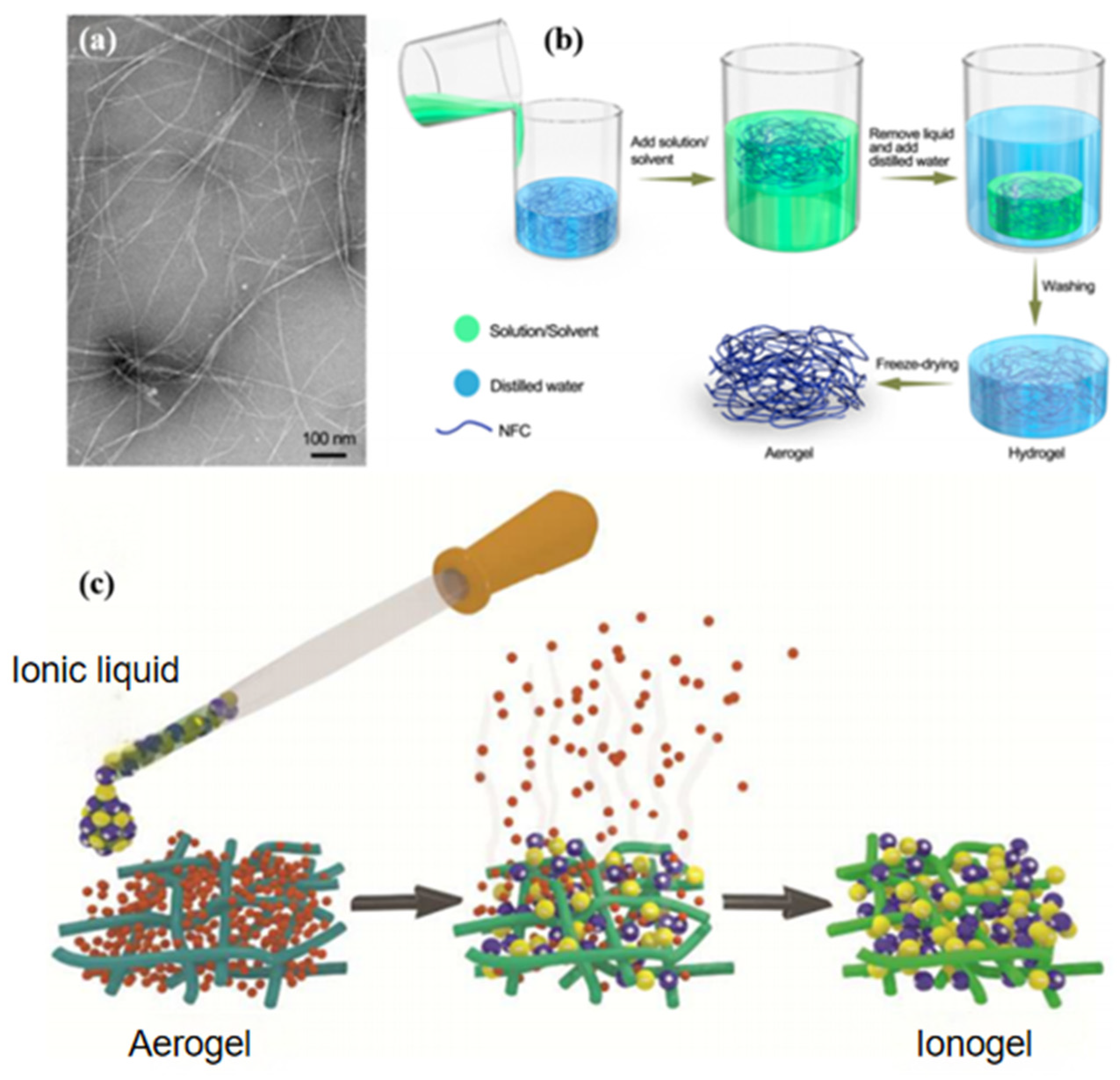 Decoupling Mechanical and Conductive Properties of Cellulose Ionogels ...