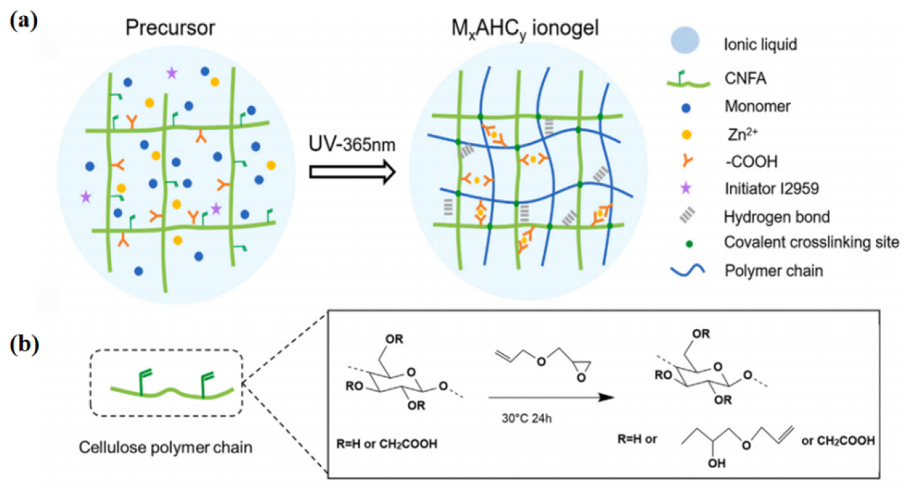 Decoupling Mechanical and Conductive Properties of Cellulose Ionogels ...