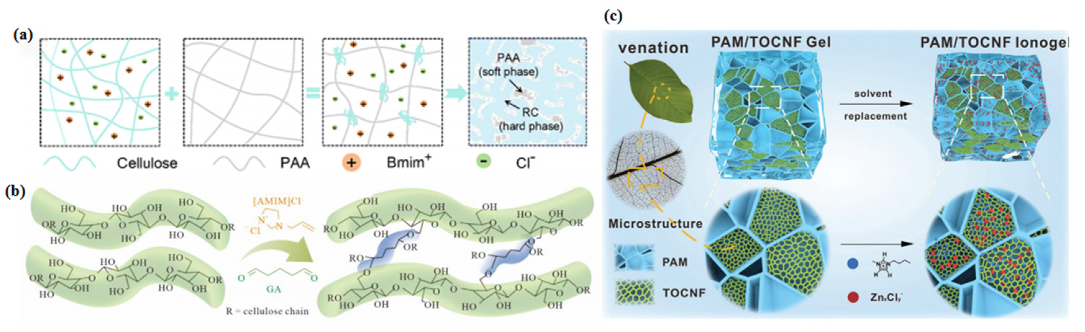 Decoupling Mechanical and Conductive Properties of Cellulose Ionogels ...
