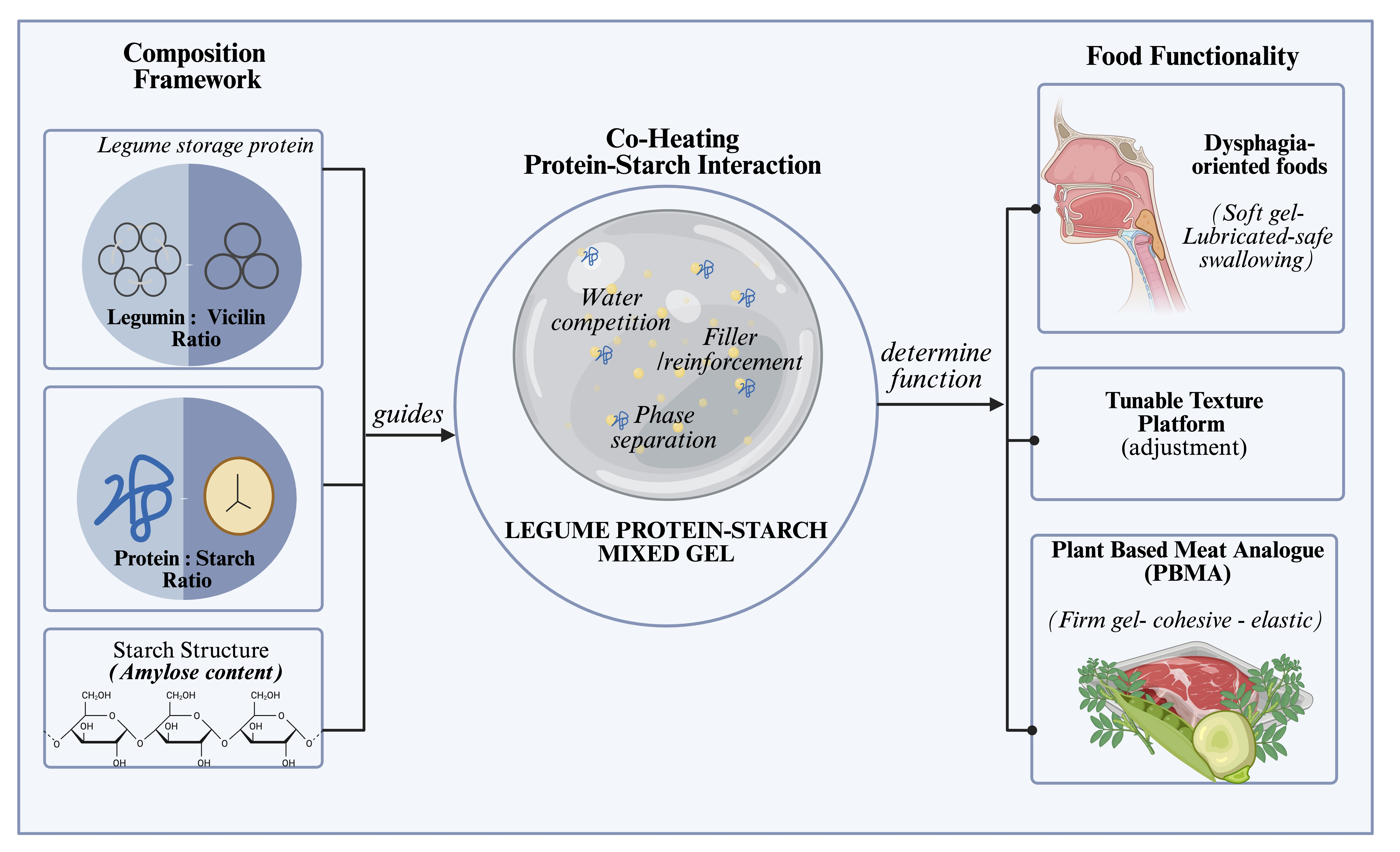 Heat-Induced Gelation of Legume Protein–Starch Systems: Mechanisms ...